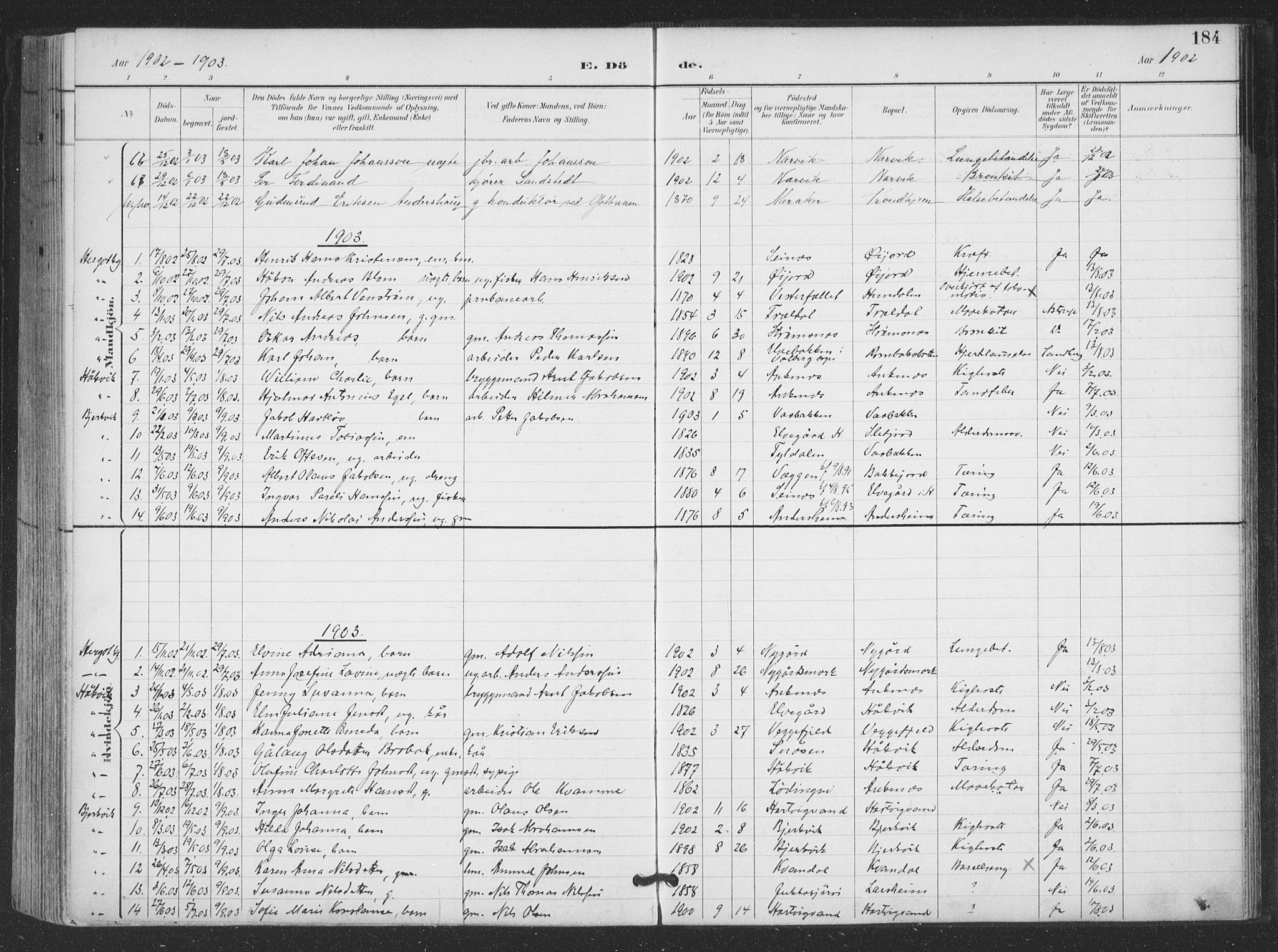 Ministerialprotokoller, klokkerbøker og fødselsregistre - Nordland, SAT/A-1459/866/L0939: Parish register (official) no. 866A02, 1894-1906, p. 184