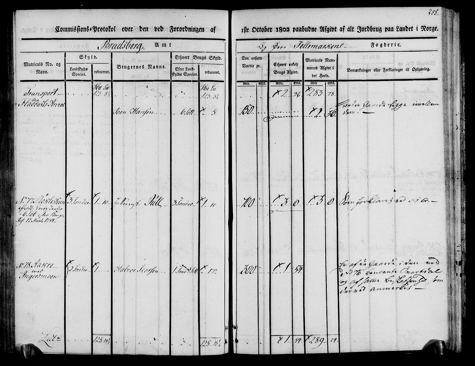 Rentekammeret inntil 1814, Realistisk ordnet avdeling, AV/RA-EA-4070/N/Ne/Nea/L0074: Øvre Telemarken fogderi. Kommisjonsprotokoll for fogderiets østre del - Tinn, Hjartdal og Seljord prestegjeld., 1803, p. 255