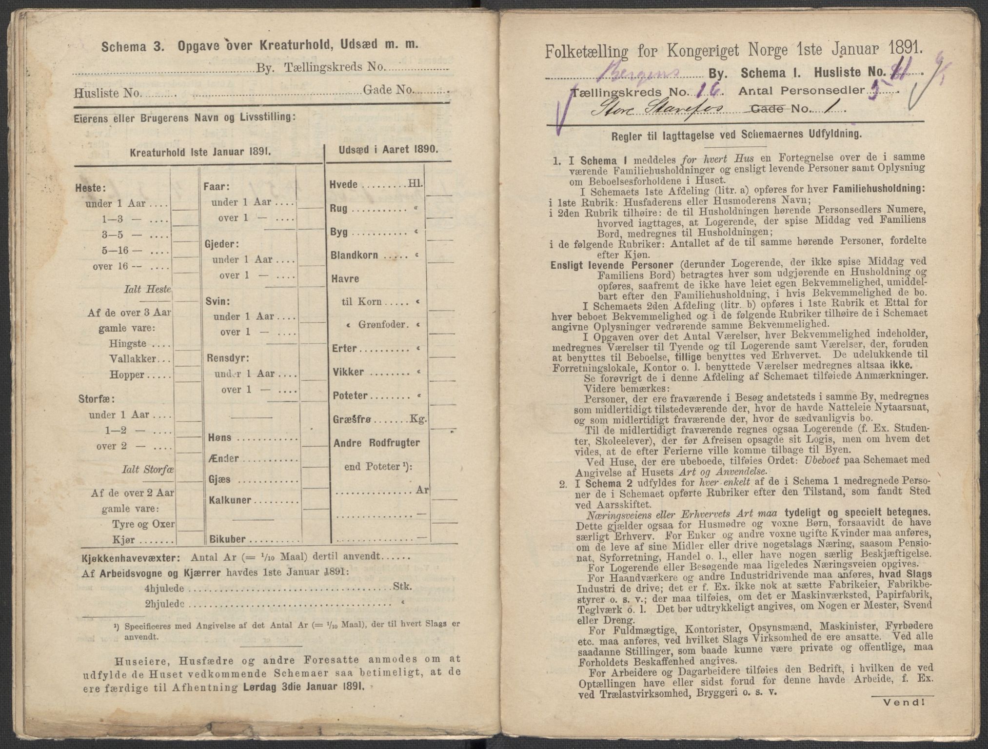 RA, 1891 Census for 1301 Bergen, 1891, p. 2486