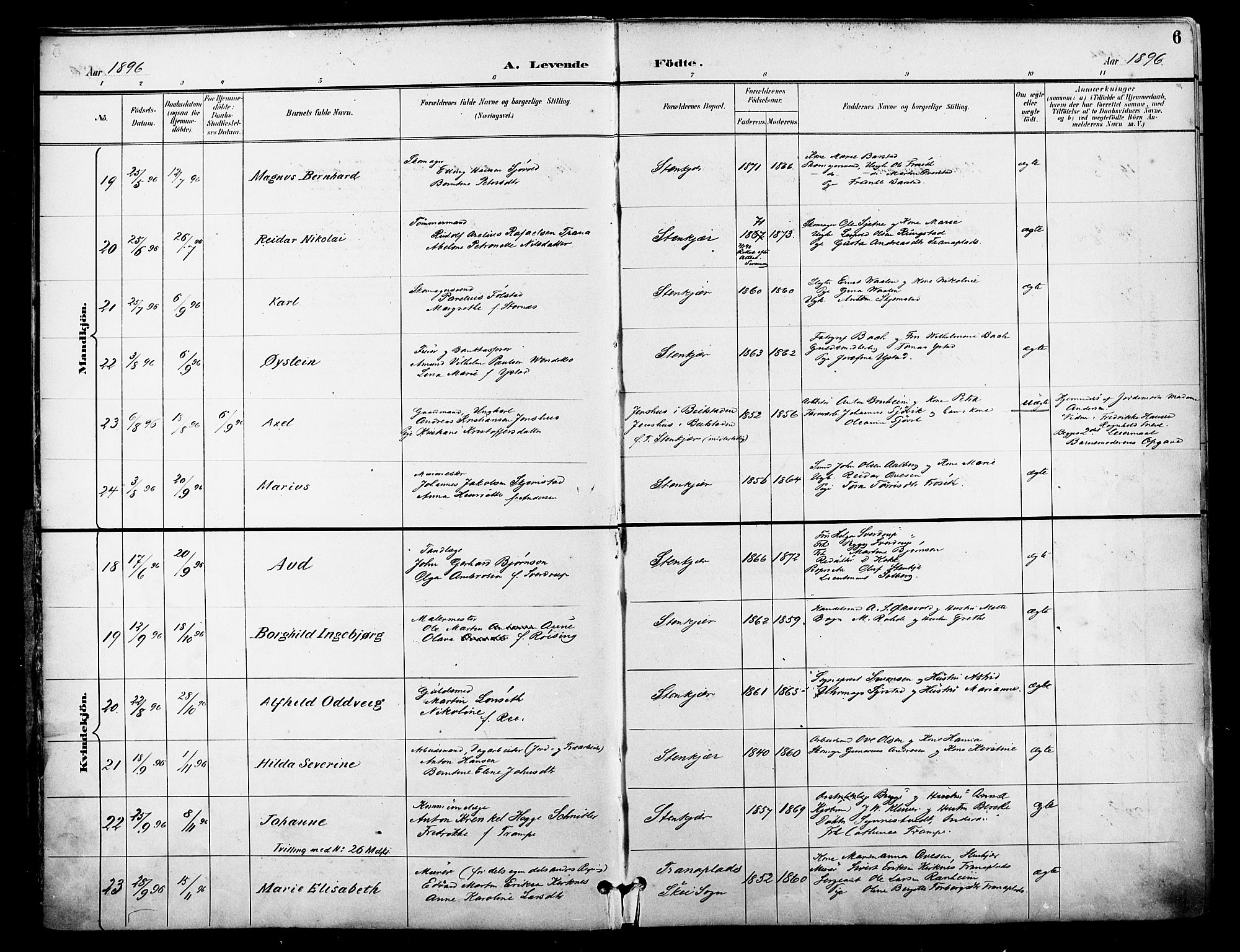 Ministerialprotokoller, klokkerbøker og fødselsregistre - Nord-Trøndelag, AV/SAT-A-1458/739/L0372: Parish register (official) no. 739A04, 1895-1903, p. 6