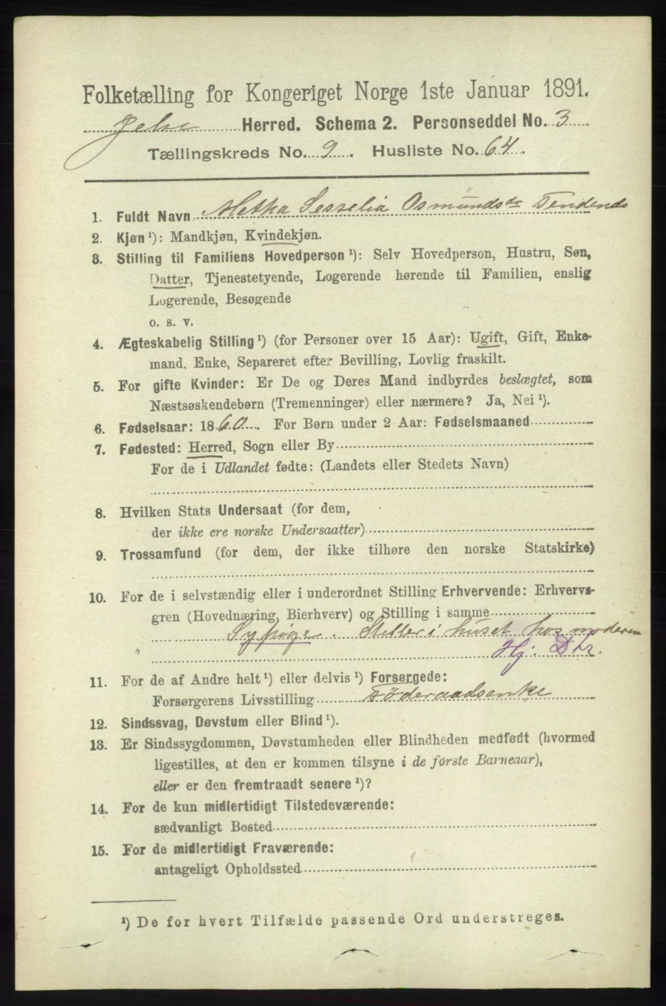 RA, 1891 census for 1138 Jelsa, 1891, p. 2367