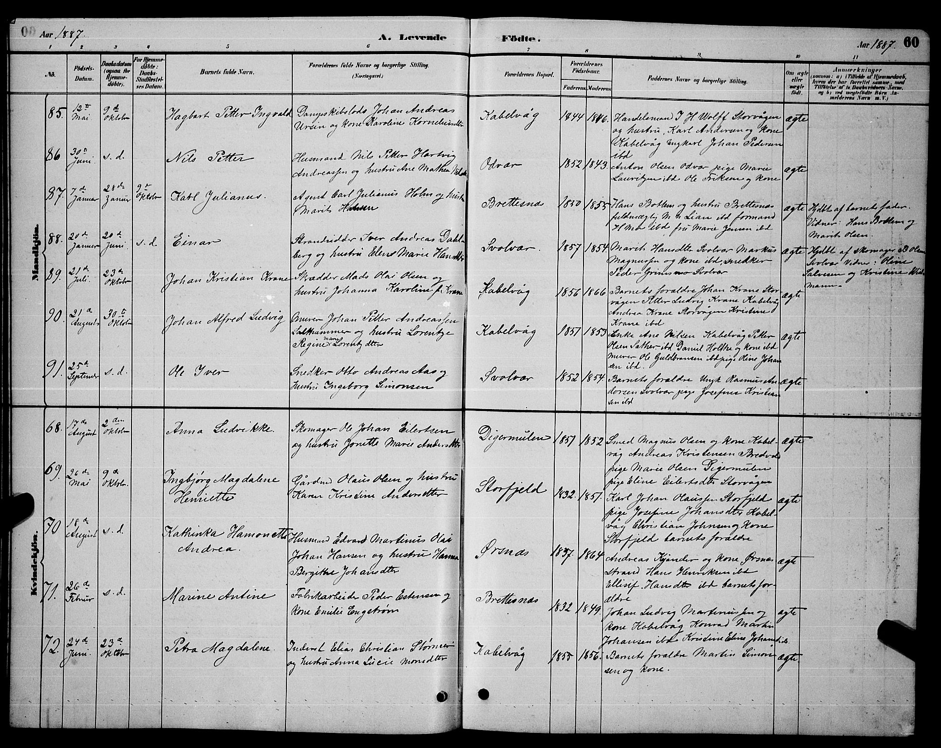 Ministerialprotokoller, klokkerbøker og fødselsregistre - Nordland, AV/SAT-A-1459/874/L1076: Parish register (copy) no. 874C05, 1884-1890, p. 60