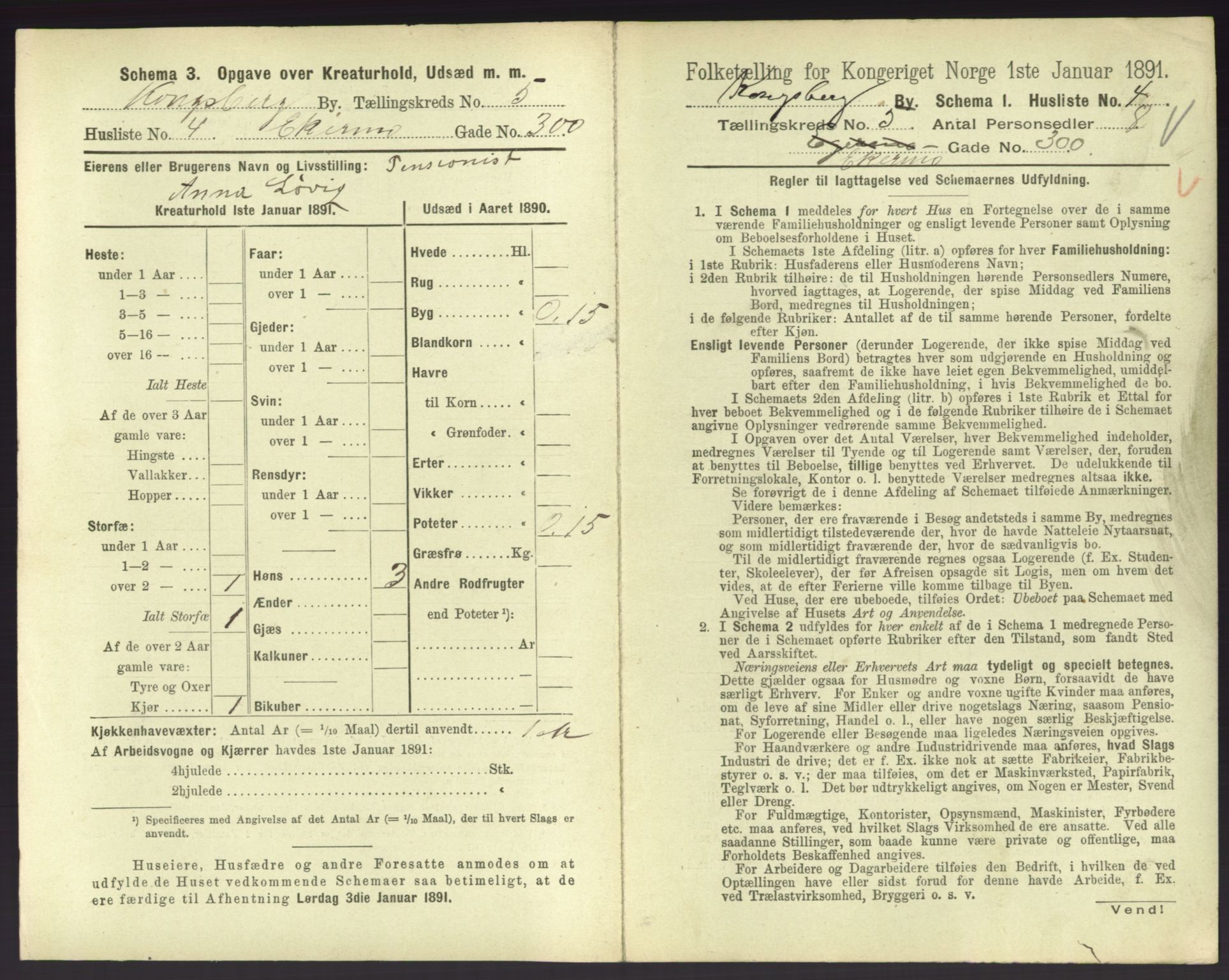 RA, 1891 census for 0604 Kongsberg, 1891, p. 755