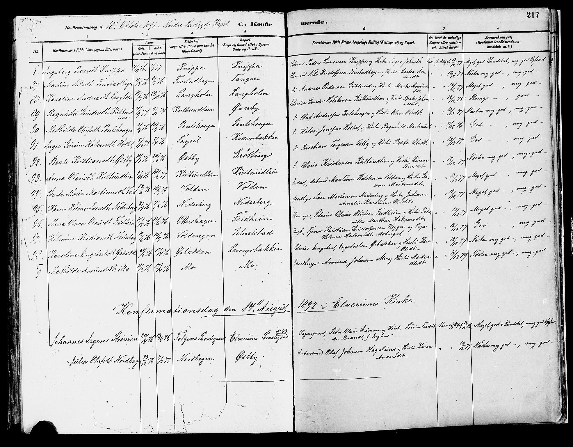 Elverum prestekontor, AV/SAH-PREST-044/H/Ha/Haa/L0013: Parish register (official) no. 13, 1880-1890, p. 217