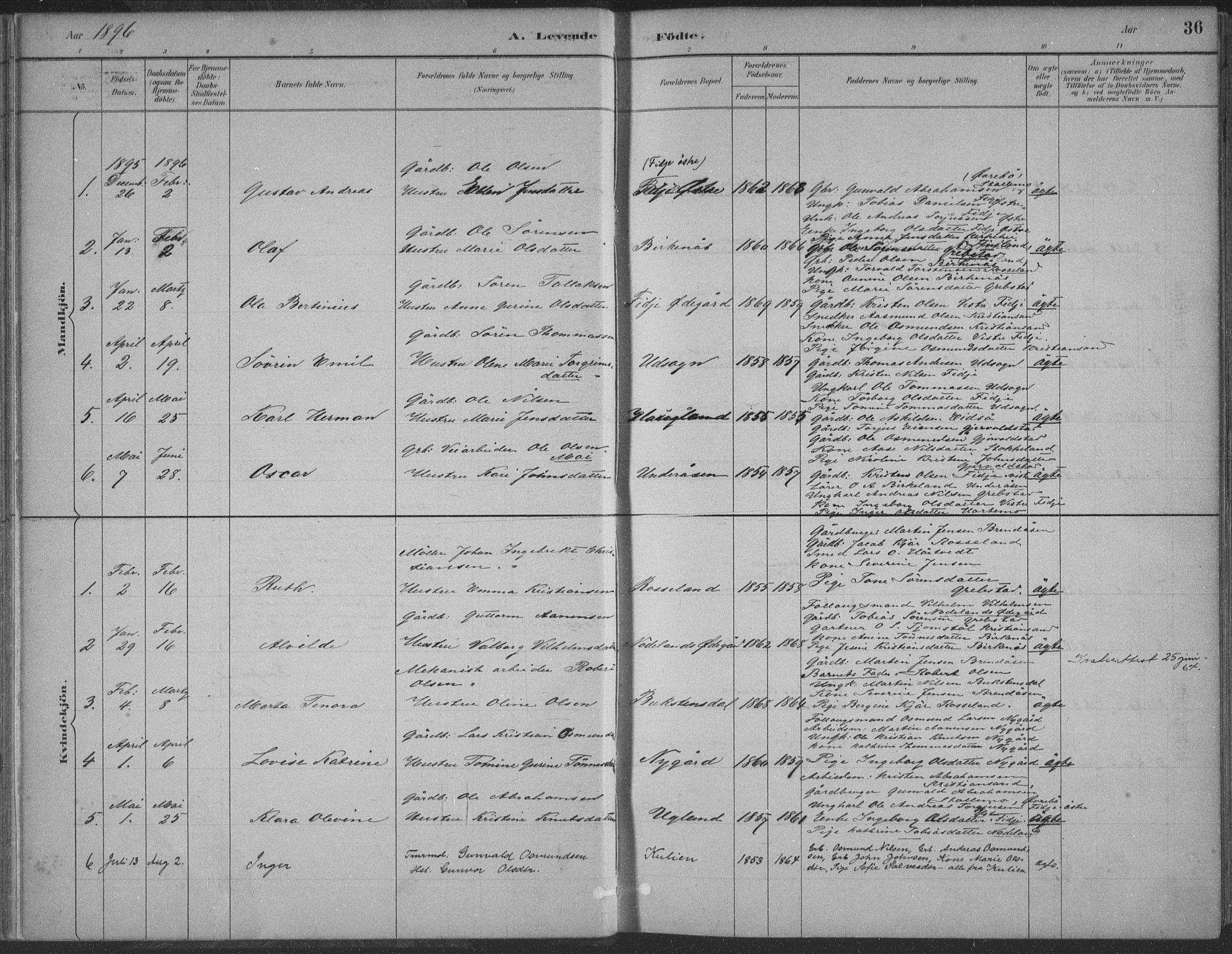 Søgne sokneprestkontor, AV/SAK-1111-0037/F/Fa/Faa/L0003: Parish register (official) no. A 3, 1883-1910, p. 36