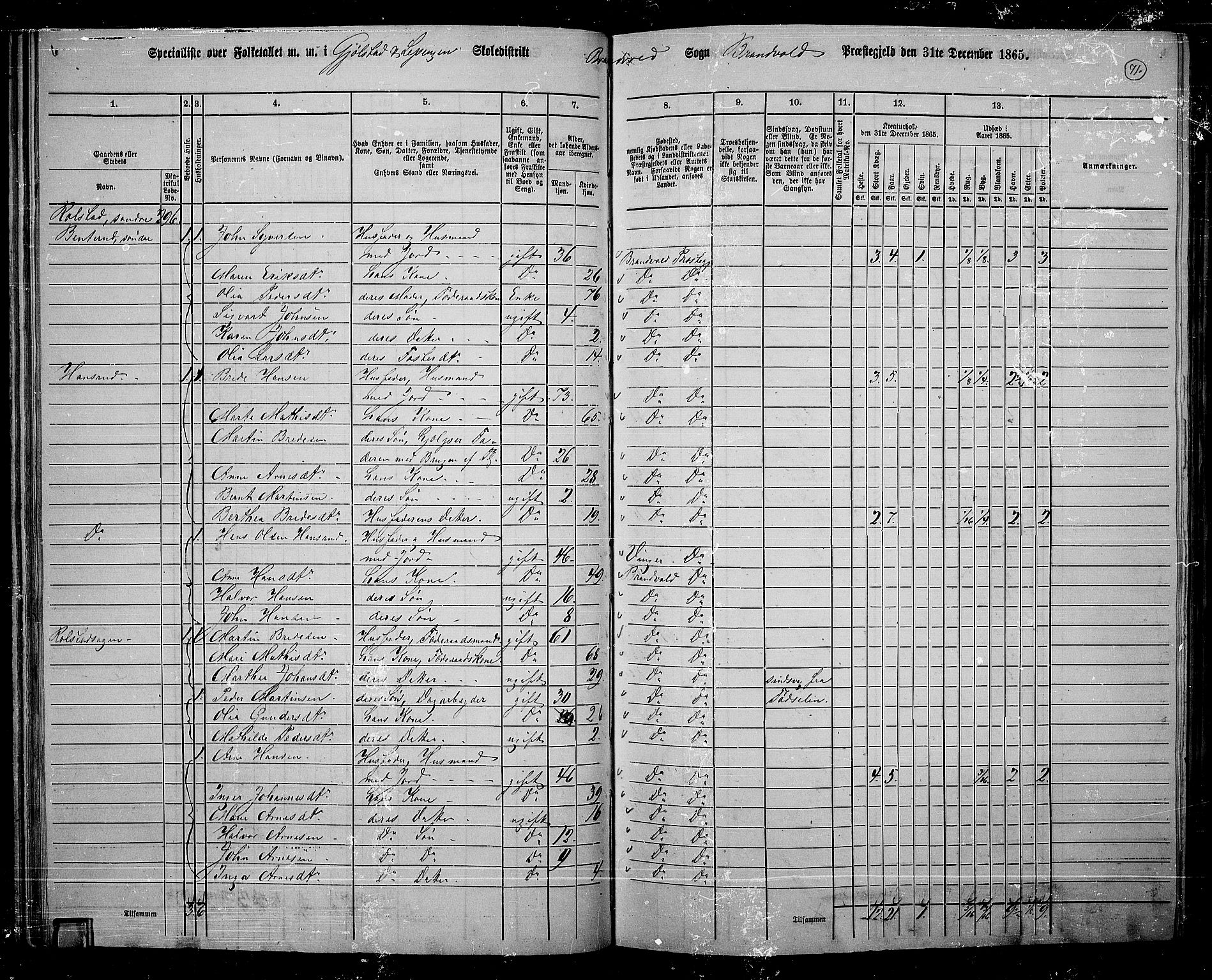 RA, 1865 census for Brandval, 1865, p. 62