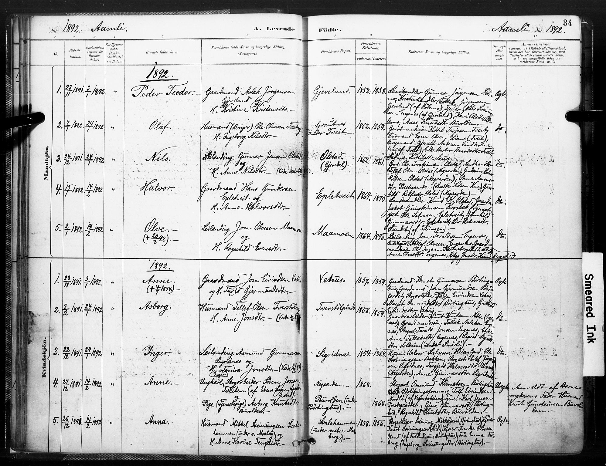 Åmli sokneprestkontor, AV/SAK-1111-0050/F/Fa/Fac/L0010: Parish register (official) no. A 10 /1, 1885-1899, p. 34