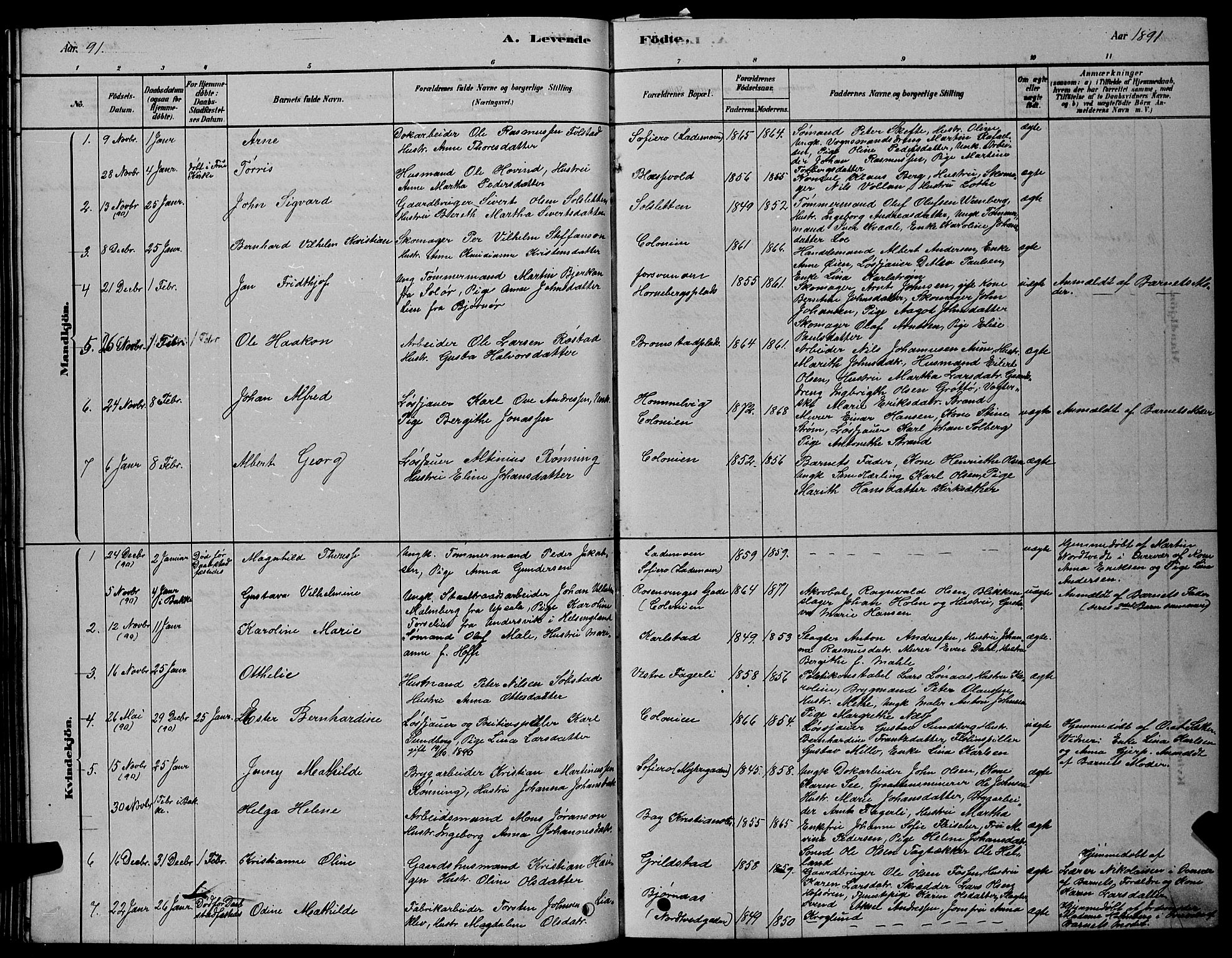 Ministerialprotokoller, klokkerbøker og fødselsregistre - Sør-Trøndelag, SAT/A-1456/606/L0312: Parish register (copy) no. 606C08, 1878-1894