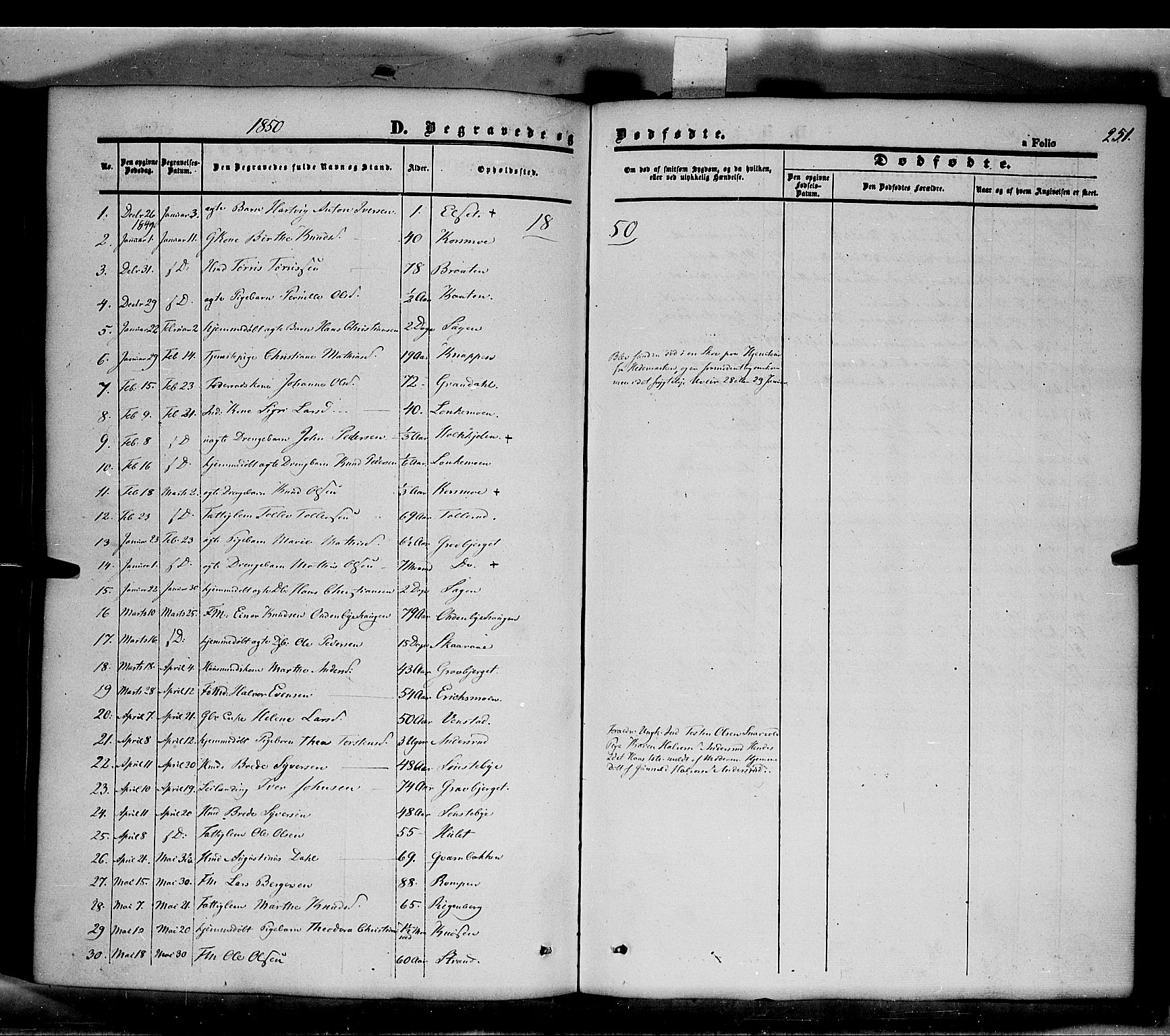 Våler prestekontor, Hedmark, AV/SAH-PREST-040/H/Ha/Haa/L0001: Parish register (official) no. 1, 1849-1878, p. 251