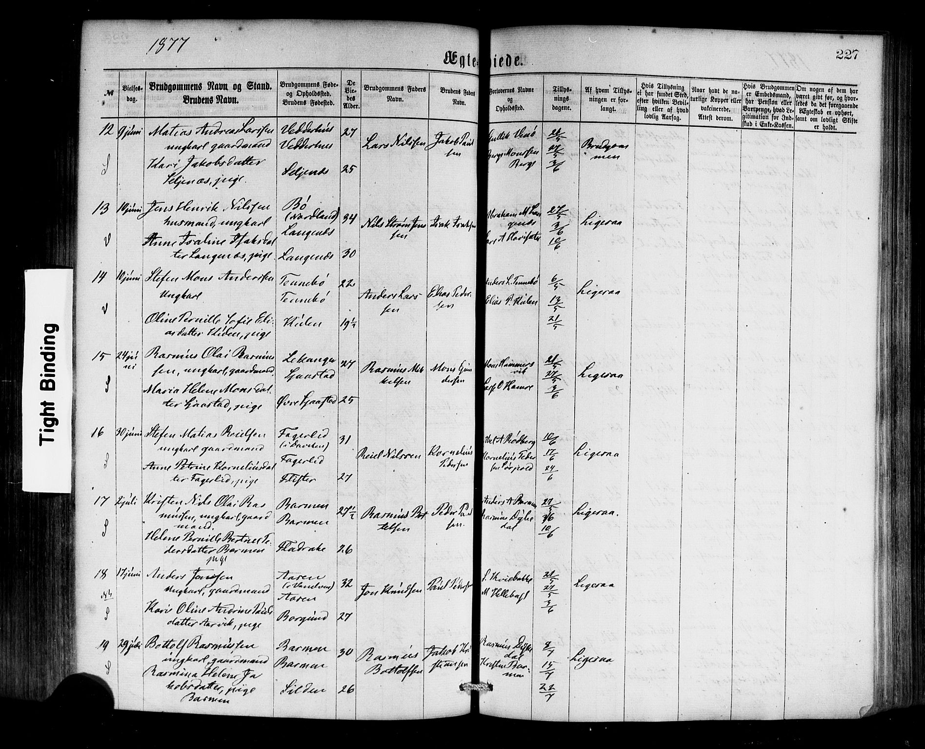 Selje sokneprestembete, SAB/A-99938/H/Ha/Haa/Haaa: Parish register (official) no. A 12, 1870-1880, p. 227
