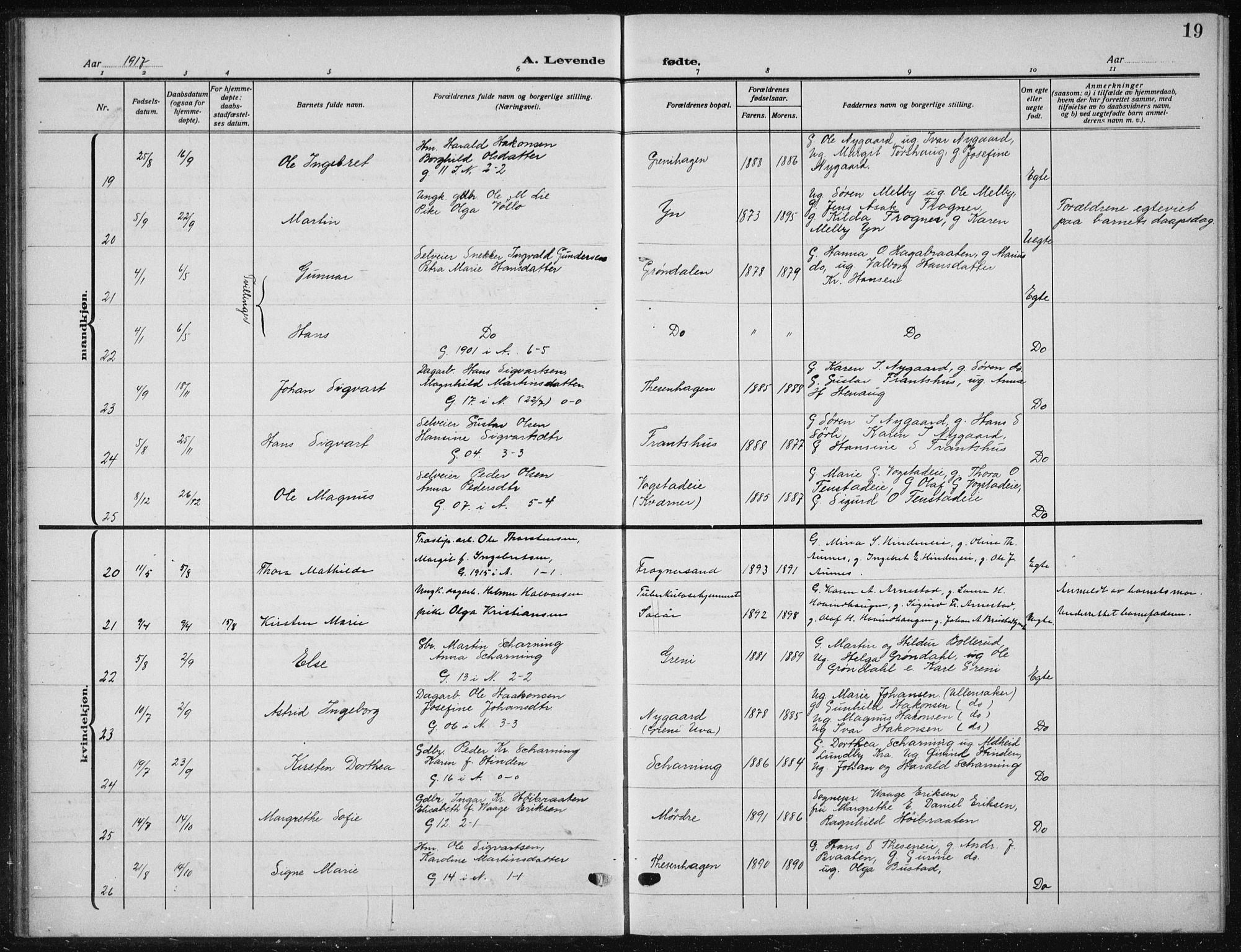 Nes prestekontor Kirkebøker, AV/SAO-A-10410/G/Ga/L0003: Parish register (copy) no. I 3, 1913-1941, p. 19