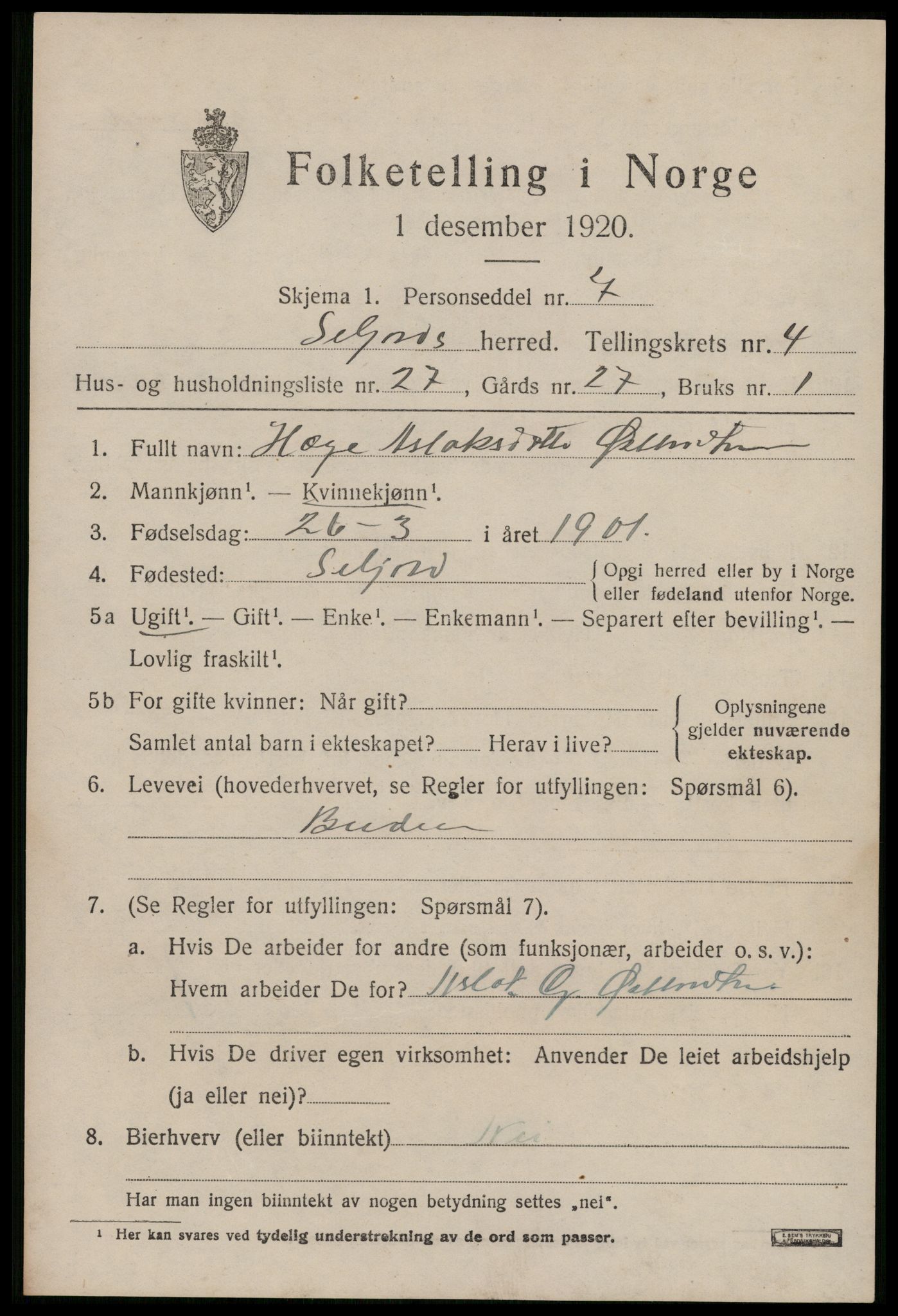 SAKO, 1920 census for Seljord, 1920, p. 2374