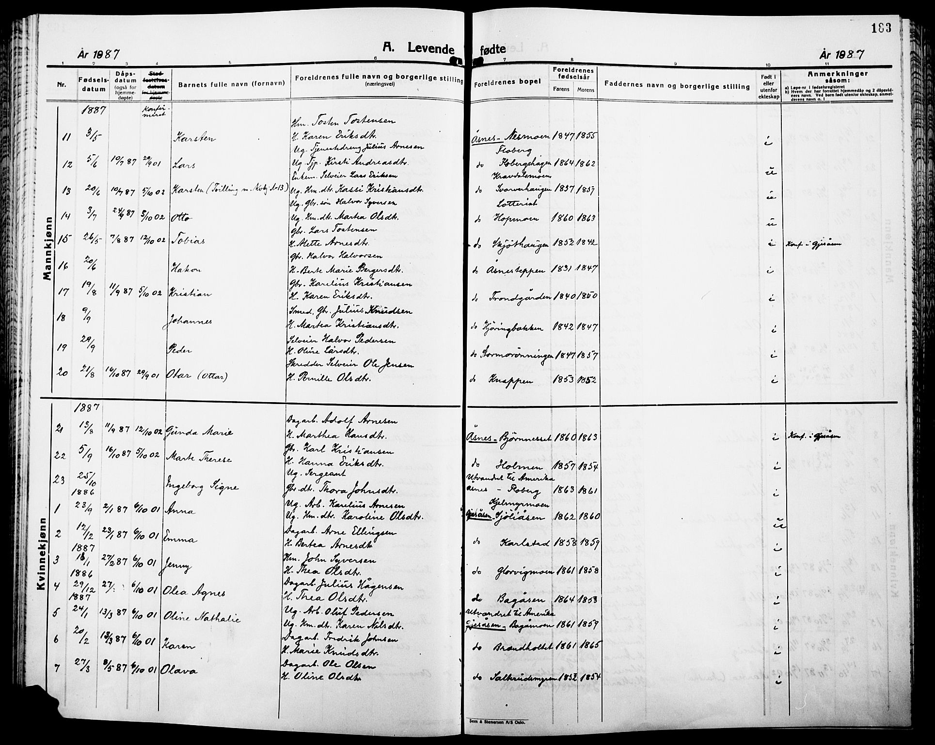 Åsnes prestekontor, AV/SAH-PREST-042/H/Ha/Haa/L0000B: Parish register (official), 1870-1889, p. 183