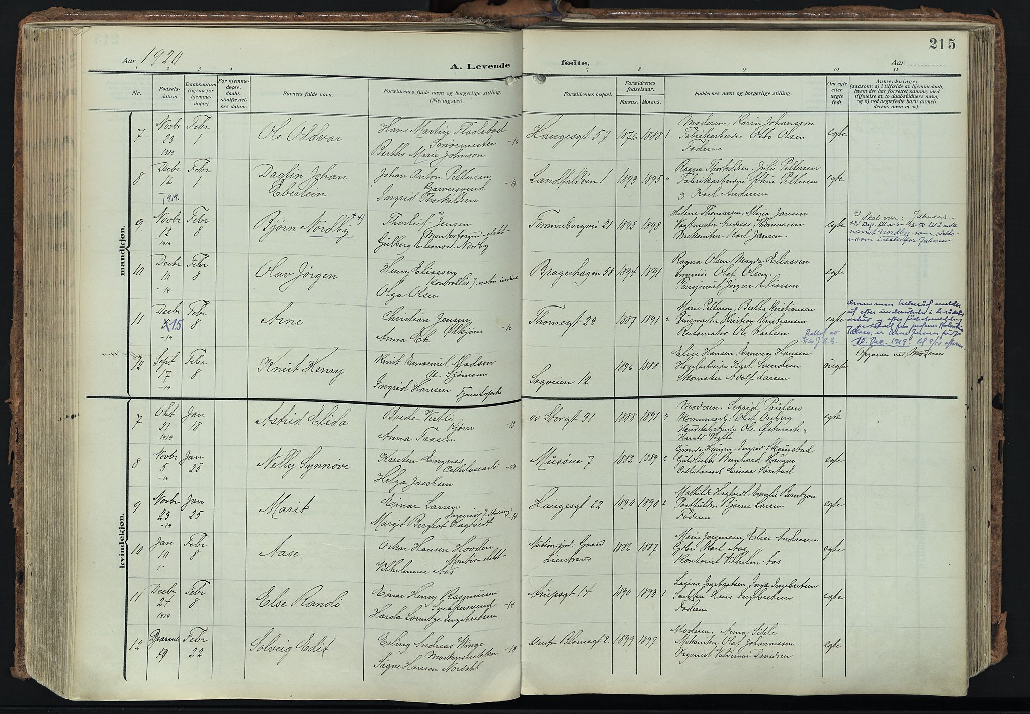 Bragernes kirkebøker, SAKO/A-6/F/Fb/L0010: Parish register (official) no. II 10, 1911-1922, p. 215