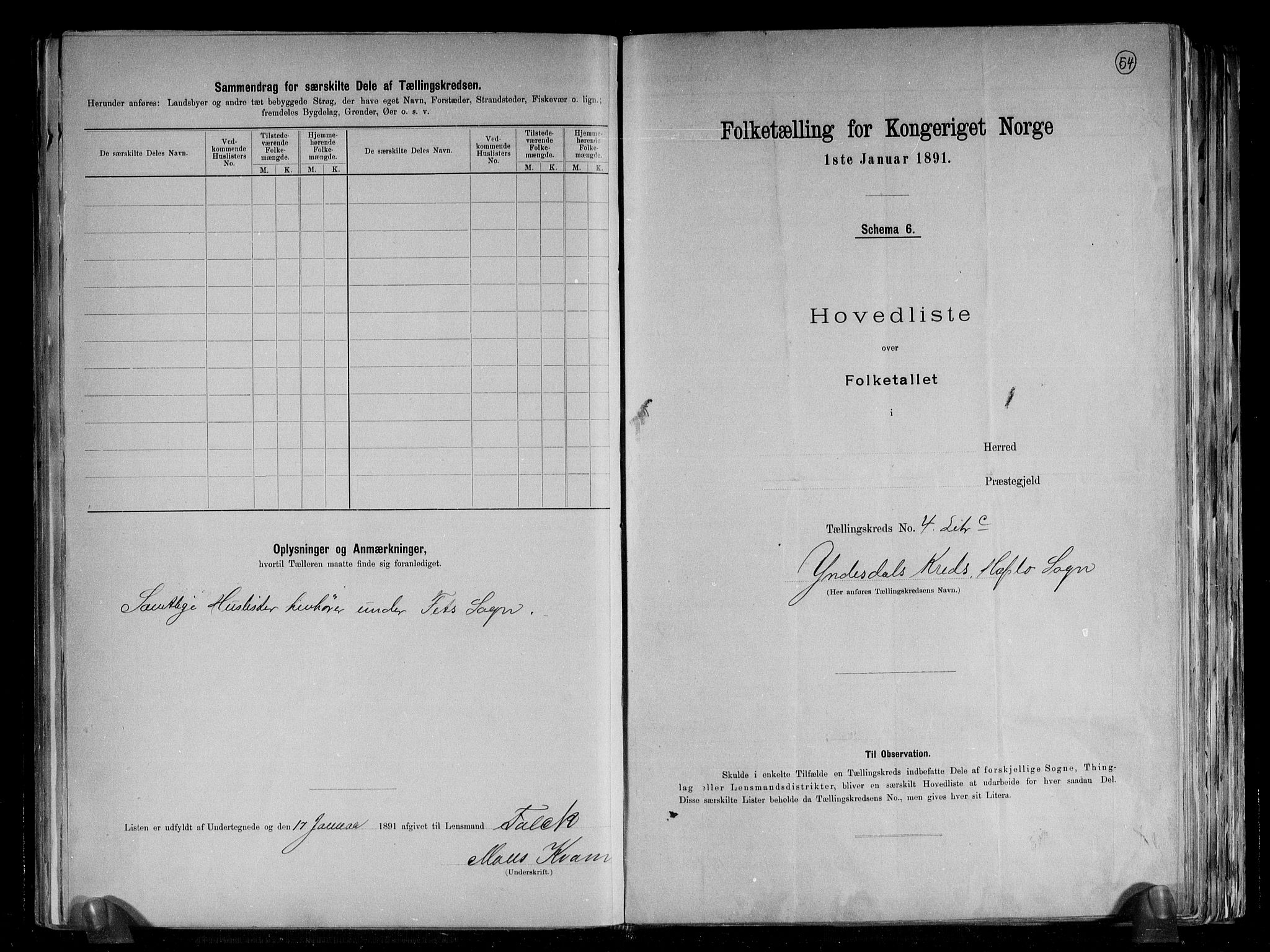 RA, 1891 census for 1425 Hafslo, 1891, p. 16