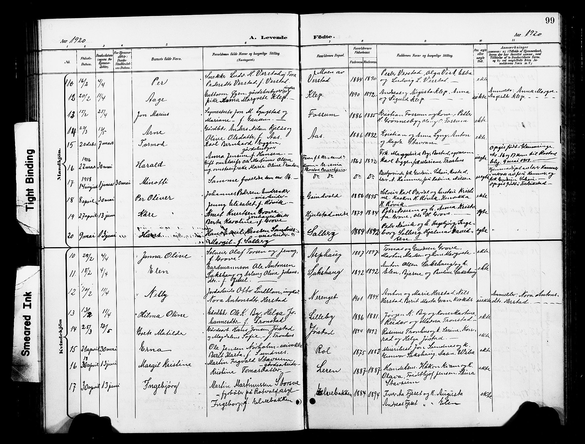 Ministerialprotokoller, klokkerbøker og fødselsregistre - Nord-Trøndelag, SAT/A-1458/730/L0302: Parish register (copy) no. 730C05, 1898-1924, p. 99