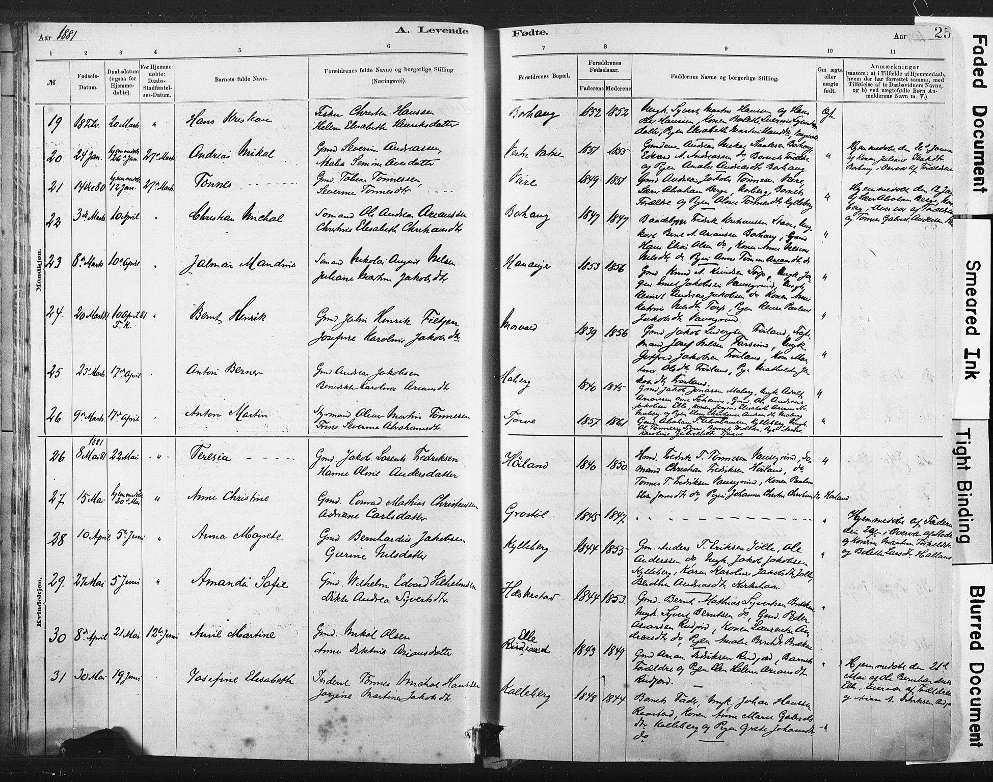 Lista sokneprestkontor, AV/SAK-1111-0027/F/Fa/L0012: Parish register (official) no. A 12, 1879-1903, p. 25