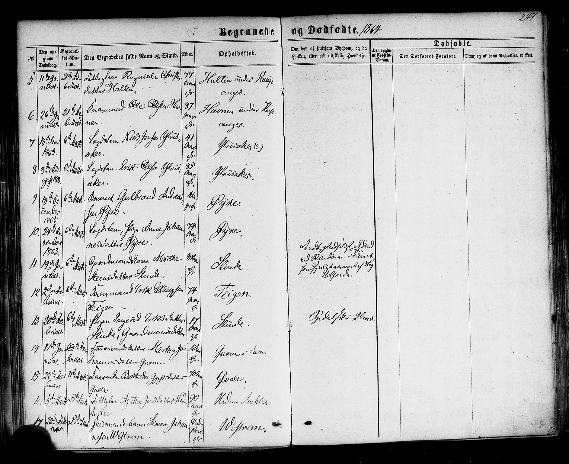 Sogndal sokneprestembete, AV/SAB-A-81301/H/Haa/Haaa/L0013: Parish register (official) no. A 13, 1859-1877, p. 247