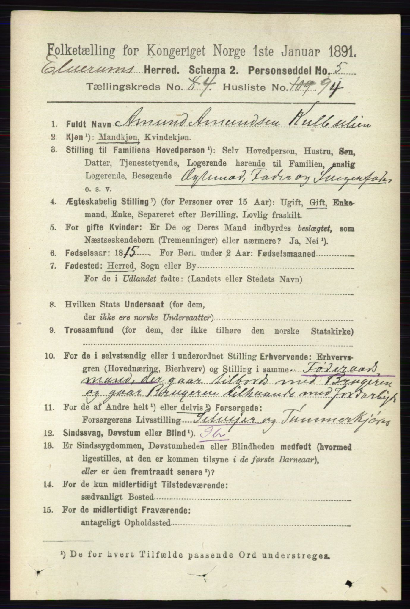 RA, 1891 census for 0427 Elverum, 1891, p. 2918