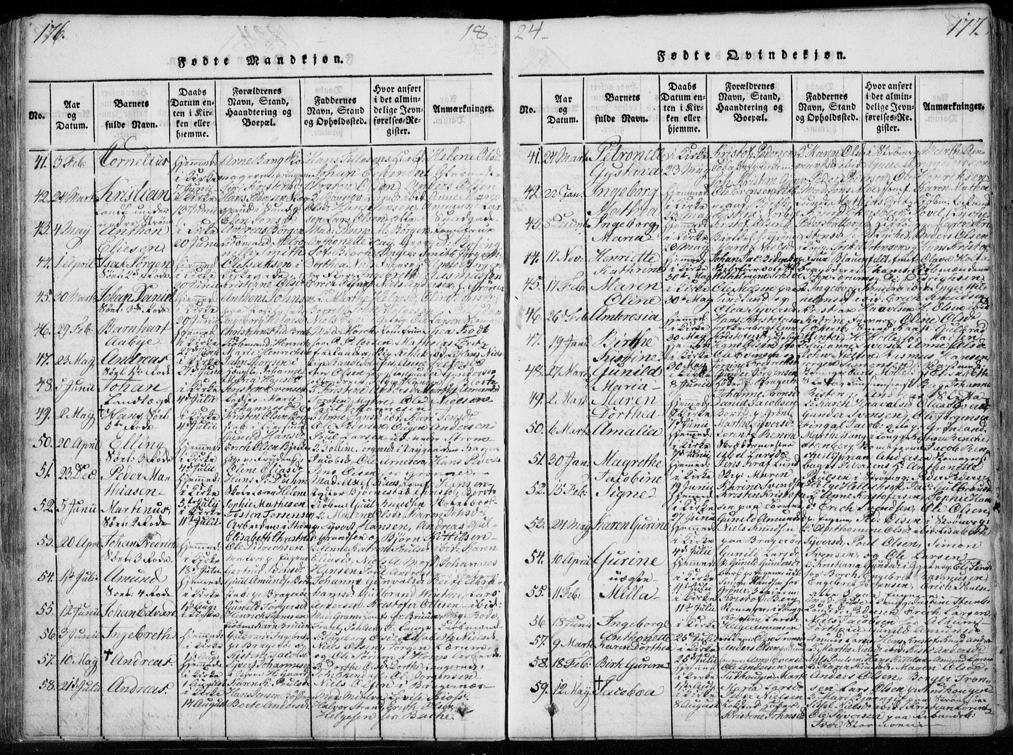Bragernes kirkebøker, AV/SAKO-A-6/F/Fa/L0007: Parish register (official) no. I 7, 1815-1829, p. 176-177