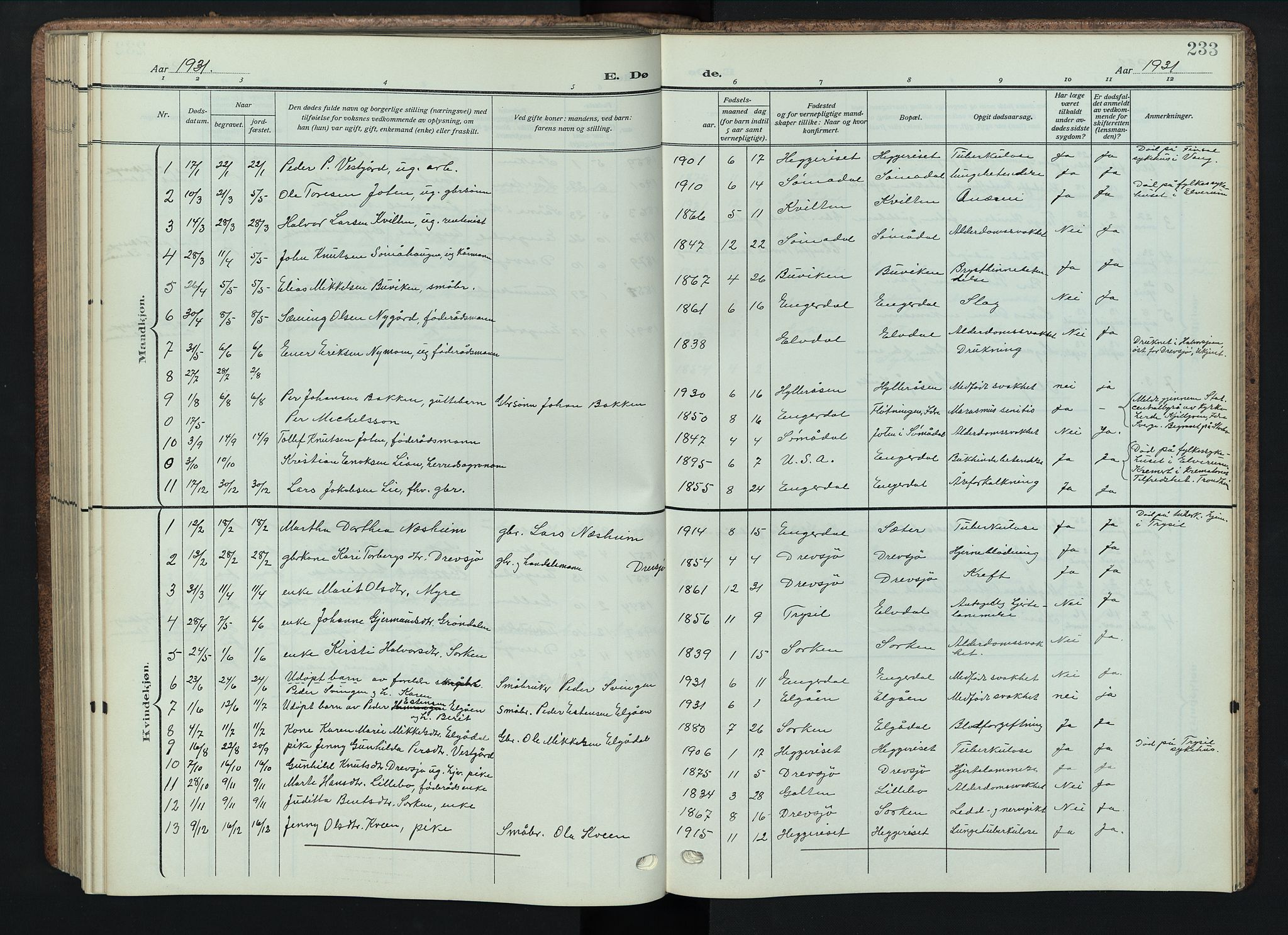 Engerdal prestekontor, AV/SAH-PREST-048/H/Ha/Hab/L0001: Parish register (copy) no. 1, 1911-1947, p. 233