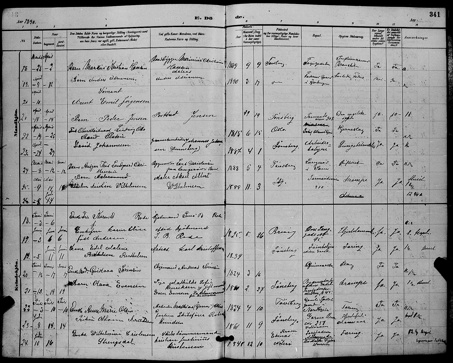 Tønsberg kirkebøker, AV/SAKO-A-330/G/Ga/L0006: Parish register (copy) no. 6, 1885-1895, p. 341