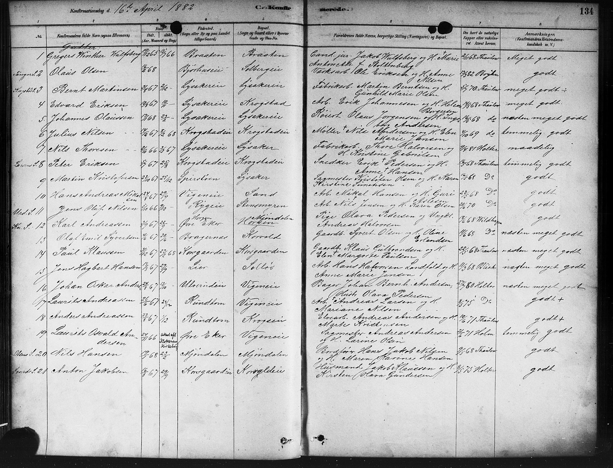 Nedre Eiker kirkebøker, SAKO/A-612/F/Fa/L0002: Parish register (official) no. 2, 1878-1885, p. 134
