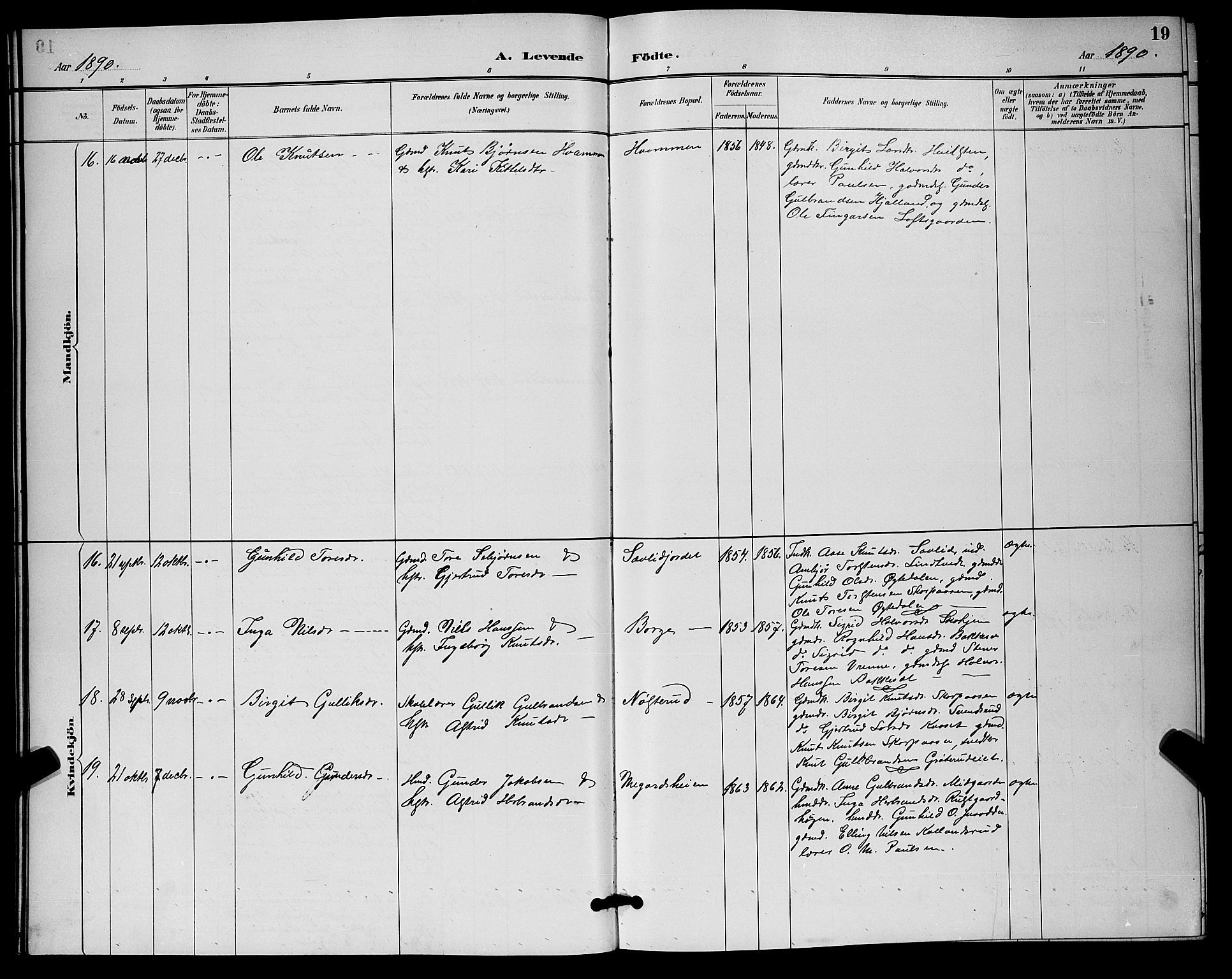 Nore kirkebøker, AV/SAKO-A-238/G/Ga/L0003: Parish register (copy) no. I 3, 1886-1903, p. 19