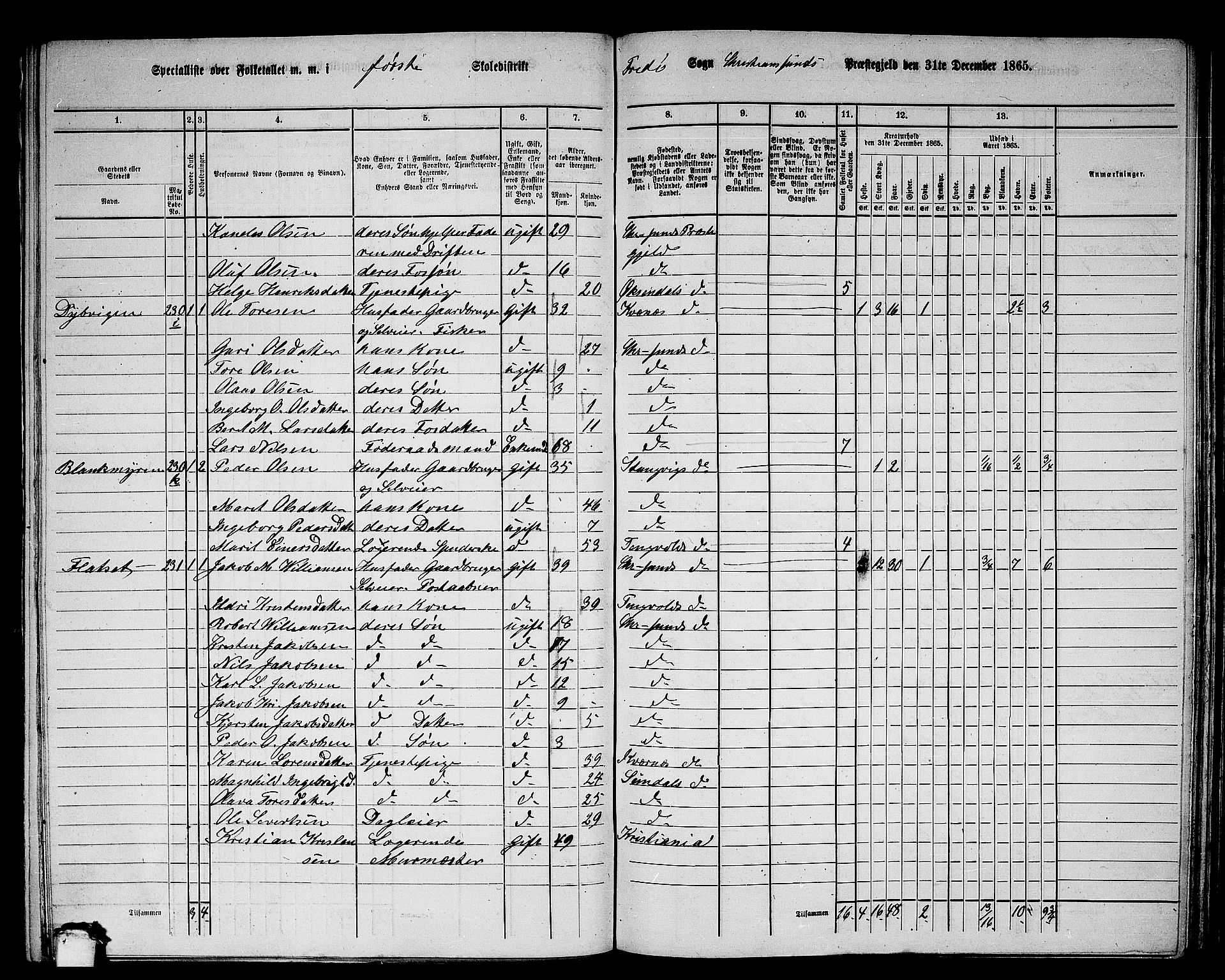 RA, 1865 census for Kristiansund/Frei og Grip, 1865, p. 14