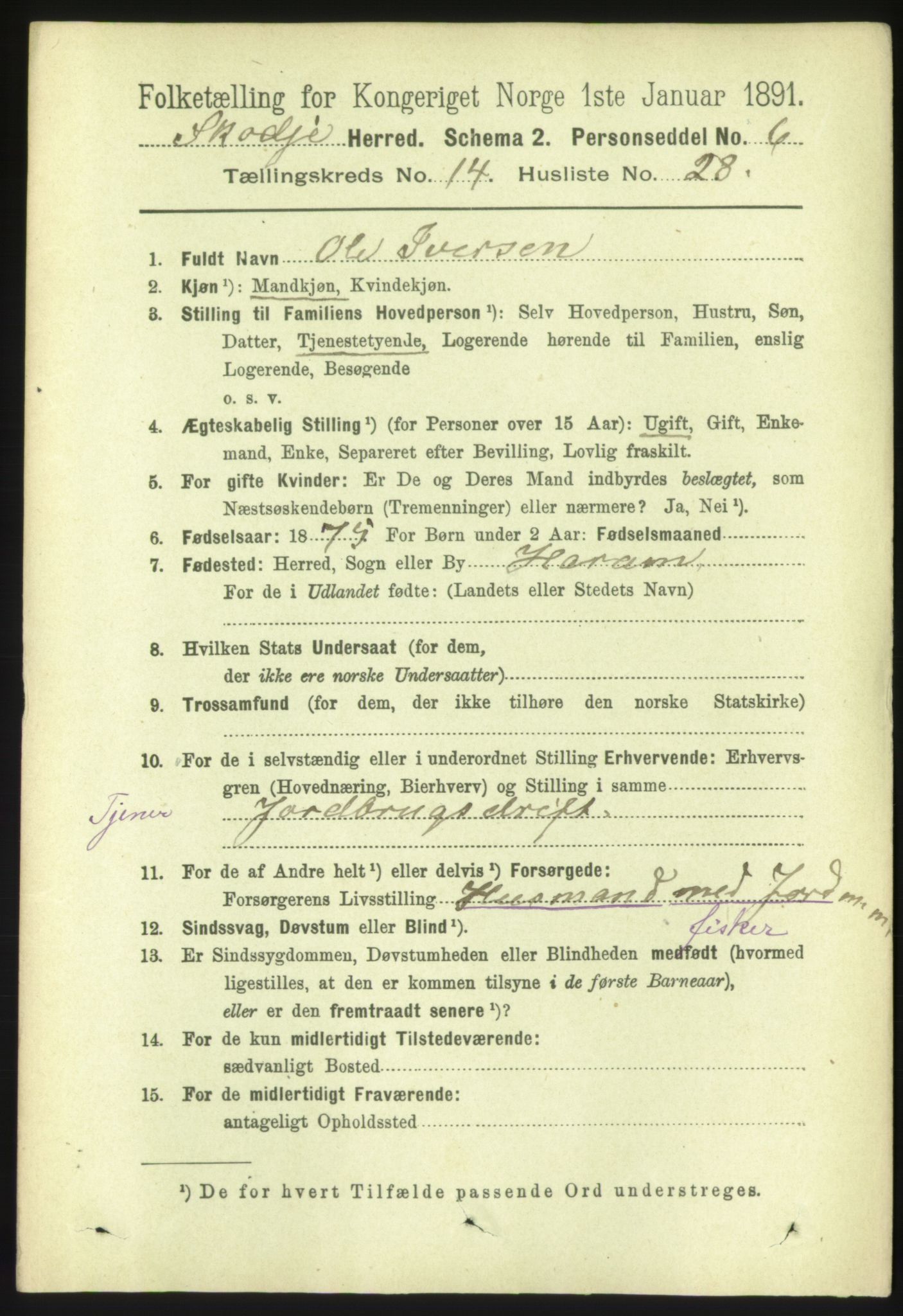 RA, 1891 census for 1529 Skodje, 1891, p. 3176