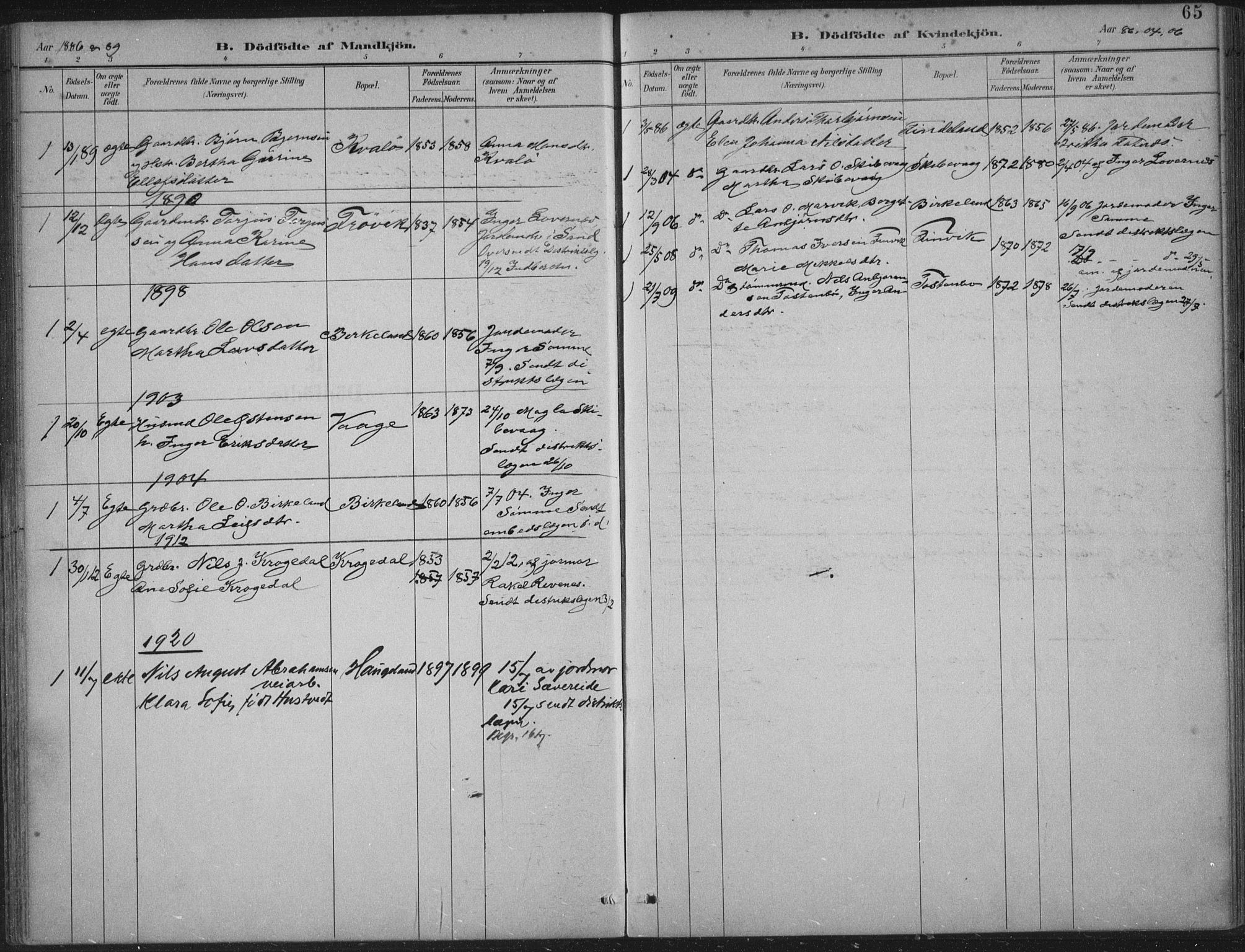 Vikedal sokneprestkontor, AV/SAST-A-101840/01/IV: Parish register (official) no. A 12, 1886-1929, p. 65