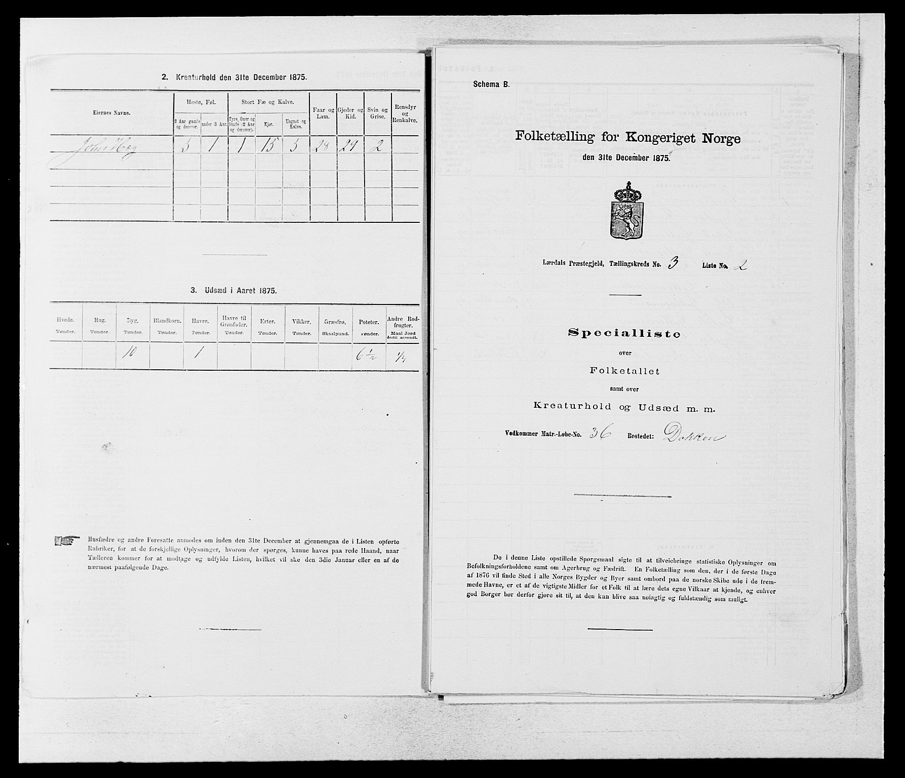 SAB, 1875 census for 1422P Lærdal, 1875, p. 1067