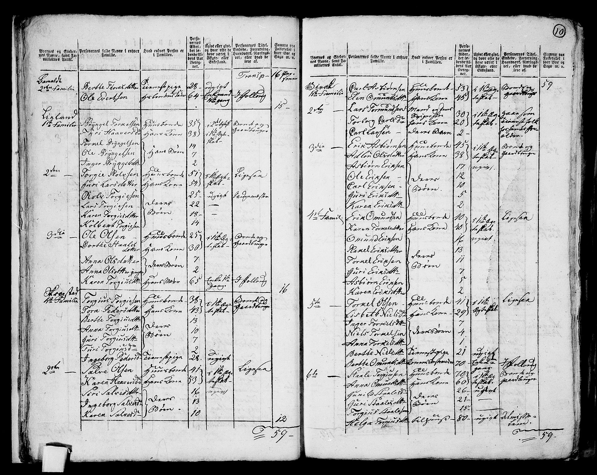 RA, 1801 census for 1045P Bakke, 1801, p. 9b-10a