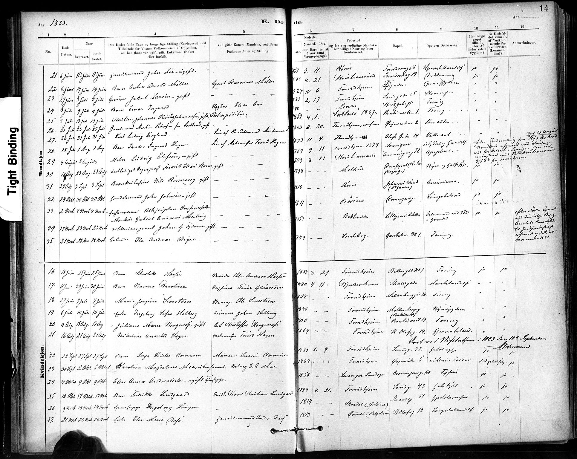 Ministerialprotokoller, klokkerbøker og fødselsregistre - Sør-Trøndelag, SAT/A-1456/602/L0120: Parish register (official) no. 602A18, 1880-1913, p. 14