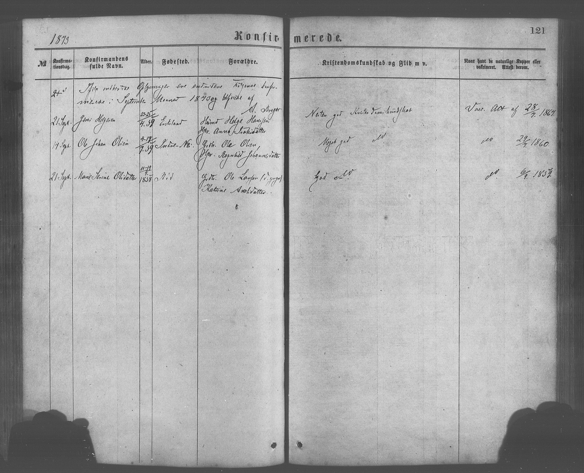 Skånevik sokneprestembete, AV/SAB-A-77801/H/Haa: Parish register (official) no. A 6, 1869-1878, p. 121