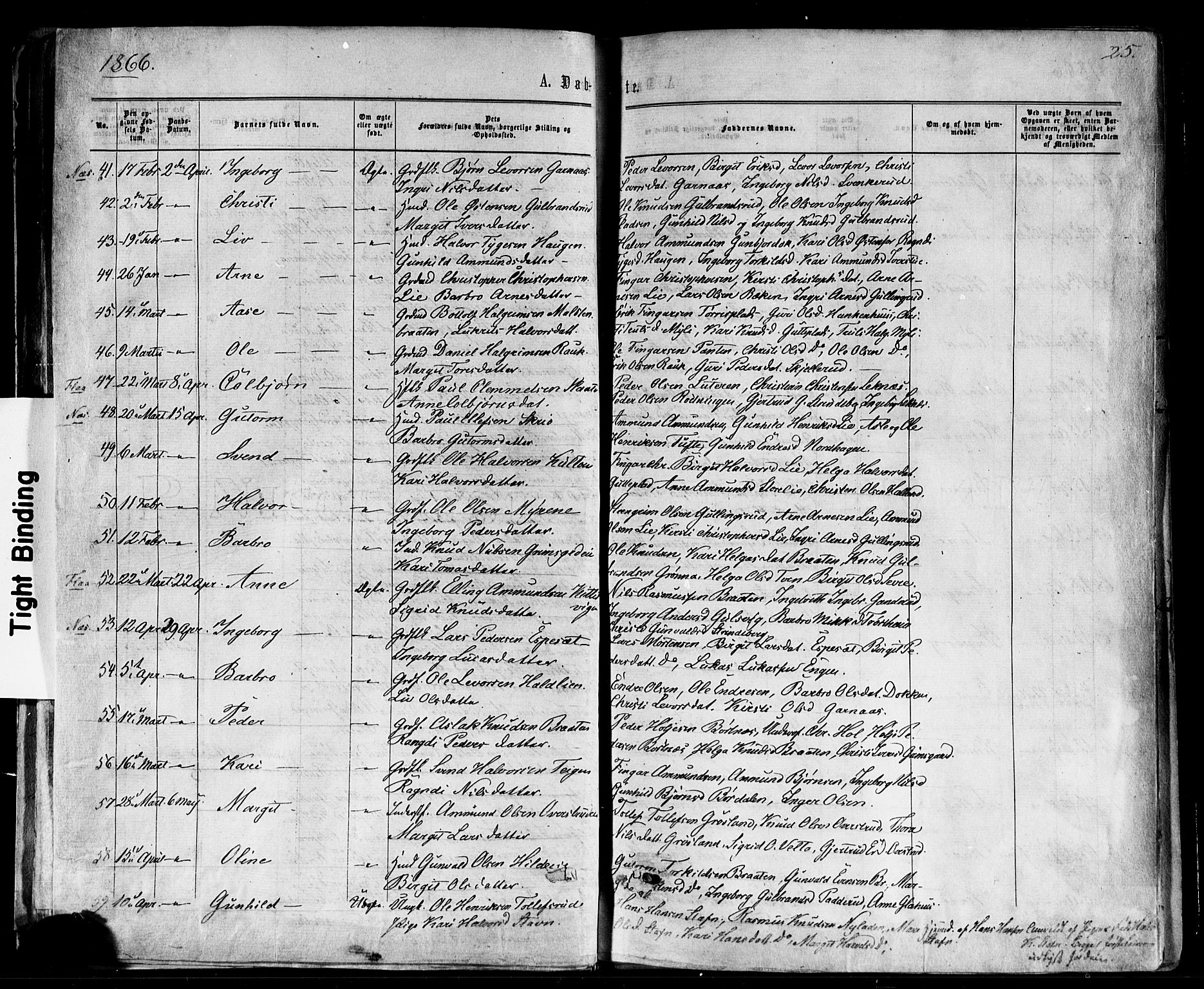 Nes kirkebøker, AV/SAKO-A-236/F/Fa/L0010: Parish register (official) no. 10, 1864-1880, p. 25