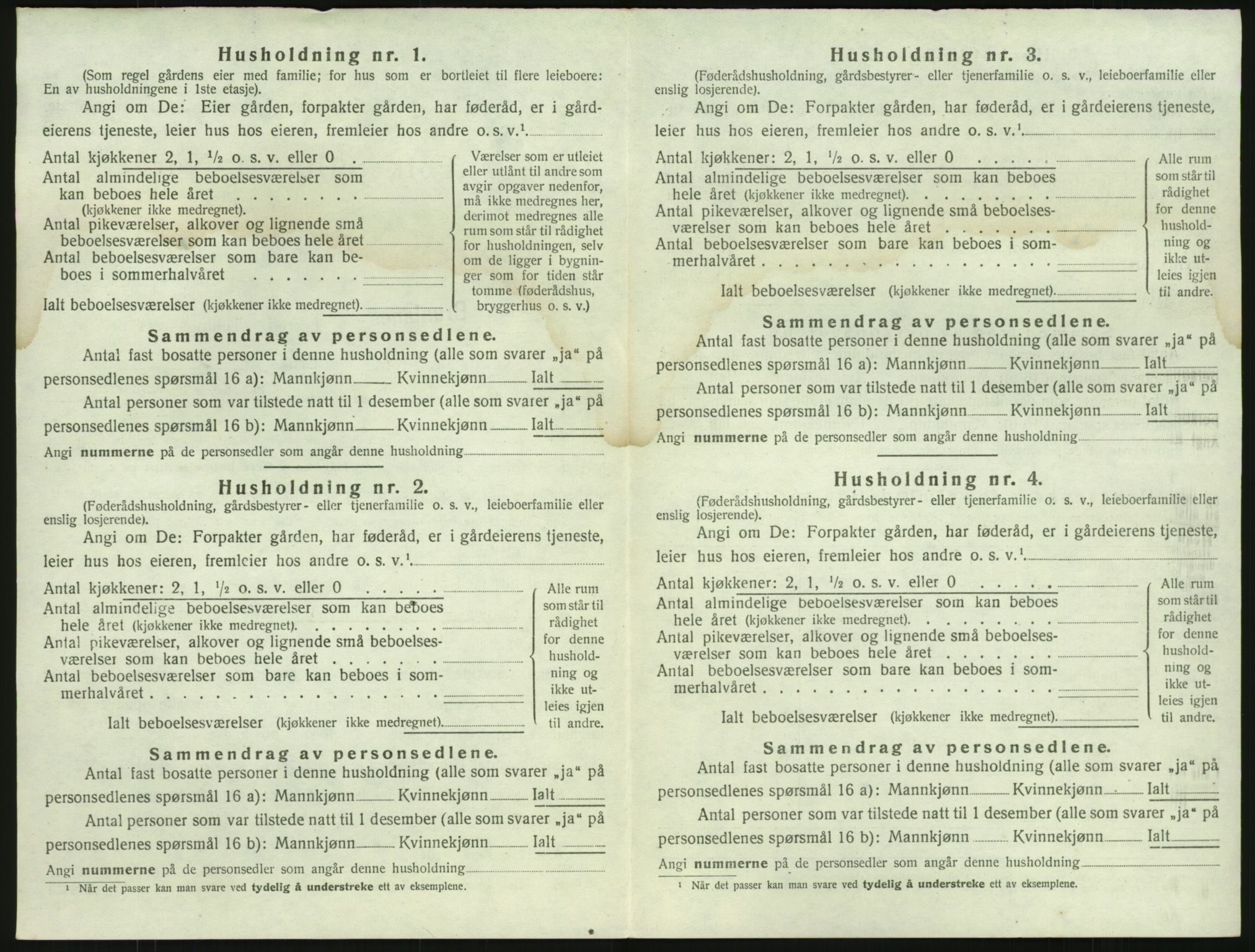 SAKO, 1920 census for Brunlanes, 1920, p. 306