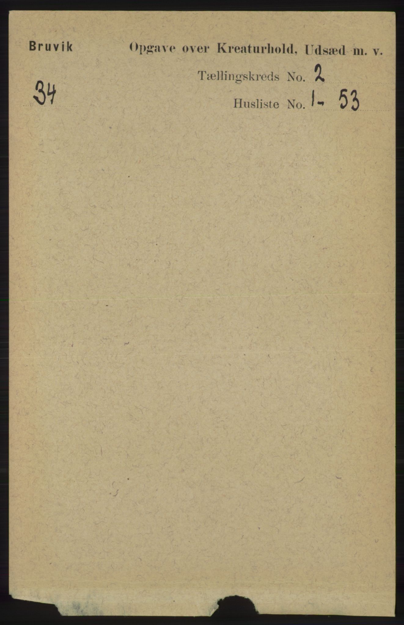 RA, 1891 census for 1251 Bruvik, 1891, p. 4231
