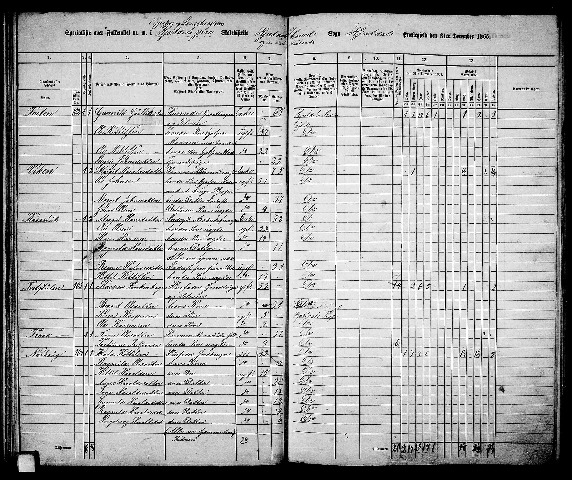 RA, 1865 census for Hjartdal, 1865, p. 51