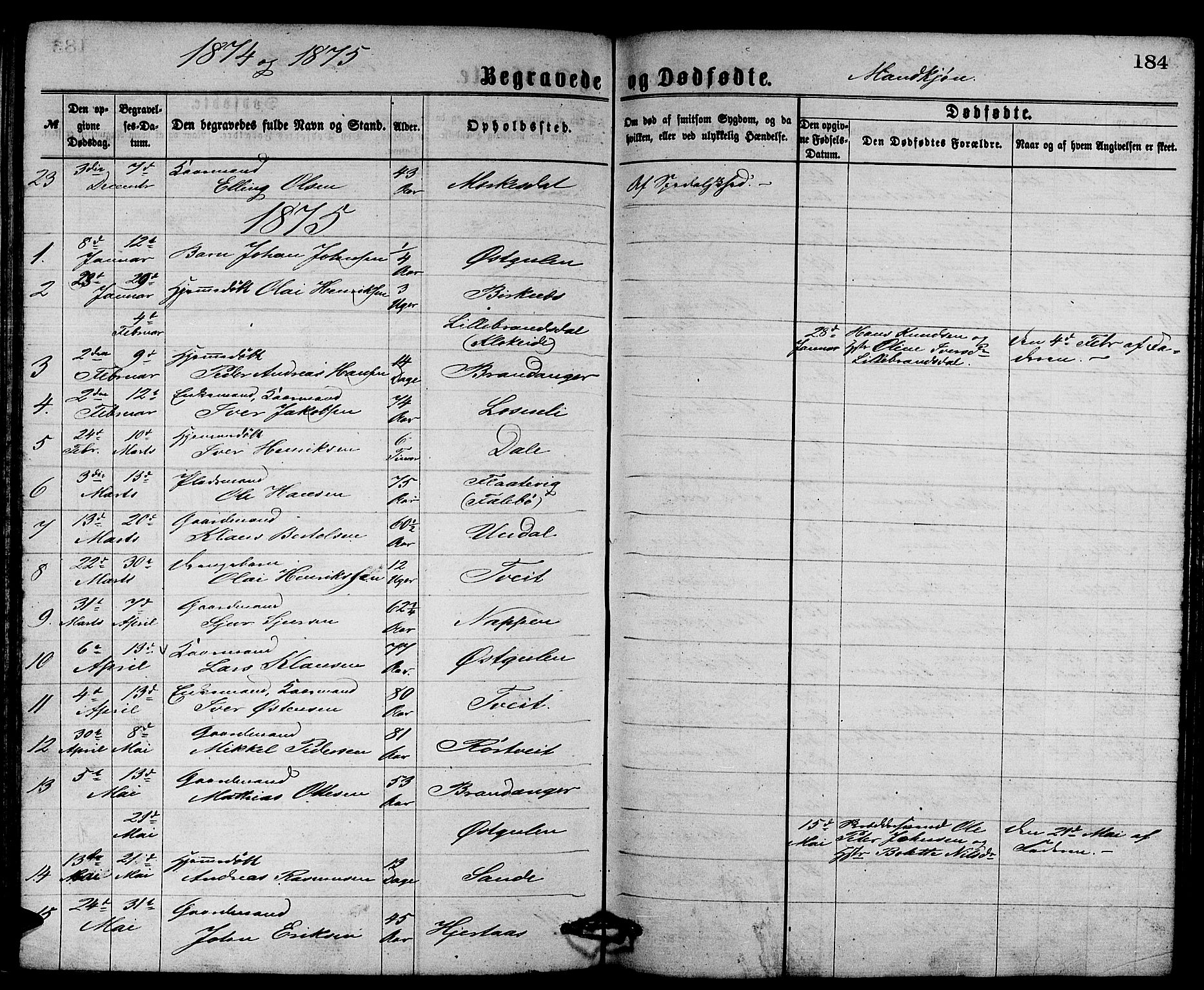 Gulen sokneprestembete, SAB/A-80201/H/Hab/Habb/L0002: Parish register (copy) no. B 2, 1867-1883, p. 184