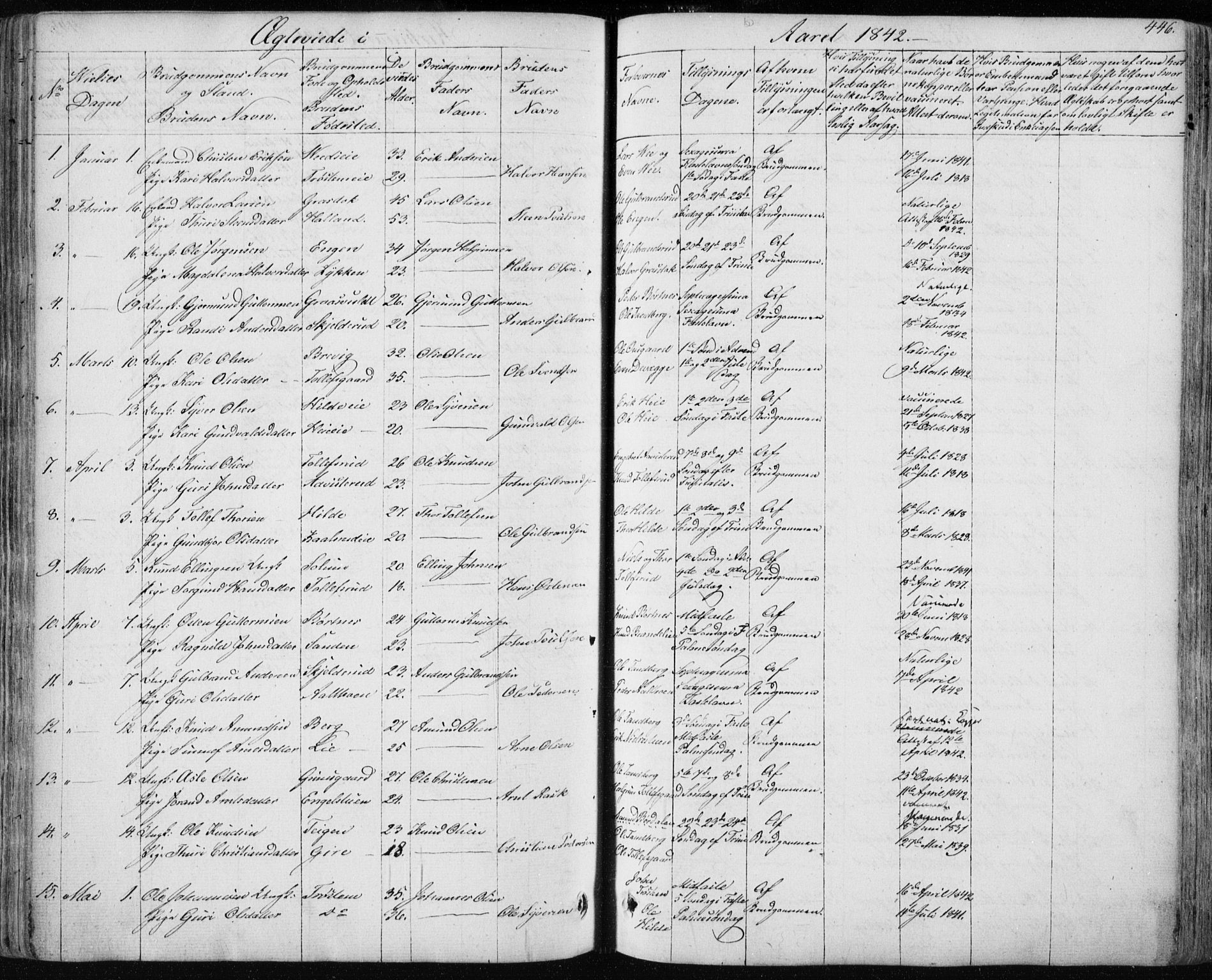 Nes kirkebøker, SAKO/A-236/F/Fa/L0009: Parish register (official) no. 9, 1834-1863, p. 446