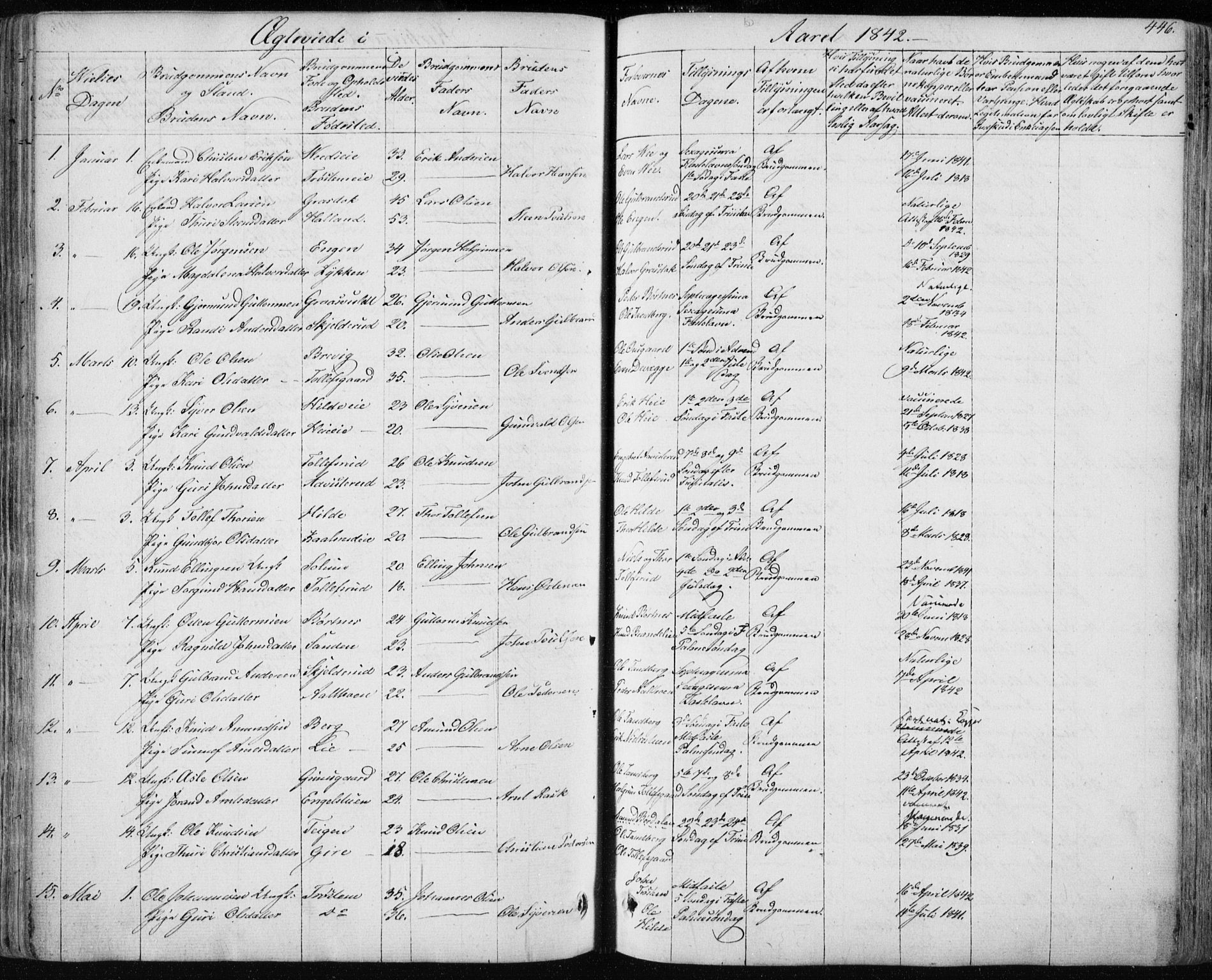 Nes kirkebøker, AV/SAKO-A-236/F/Fa/L0009: Parish register (official) no. 9, 1834-1863, p. 446