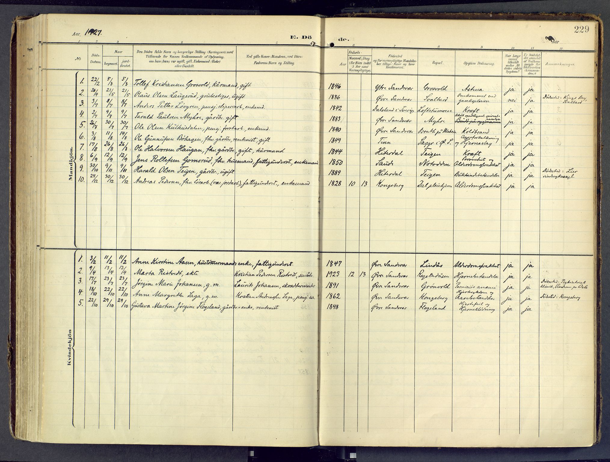 Sandsvær kirkebøker, SAKO/A-244/F/Fd/L0002: Parish register (official) no. IV 2, 1906-1943, p. 229