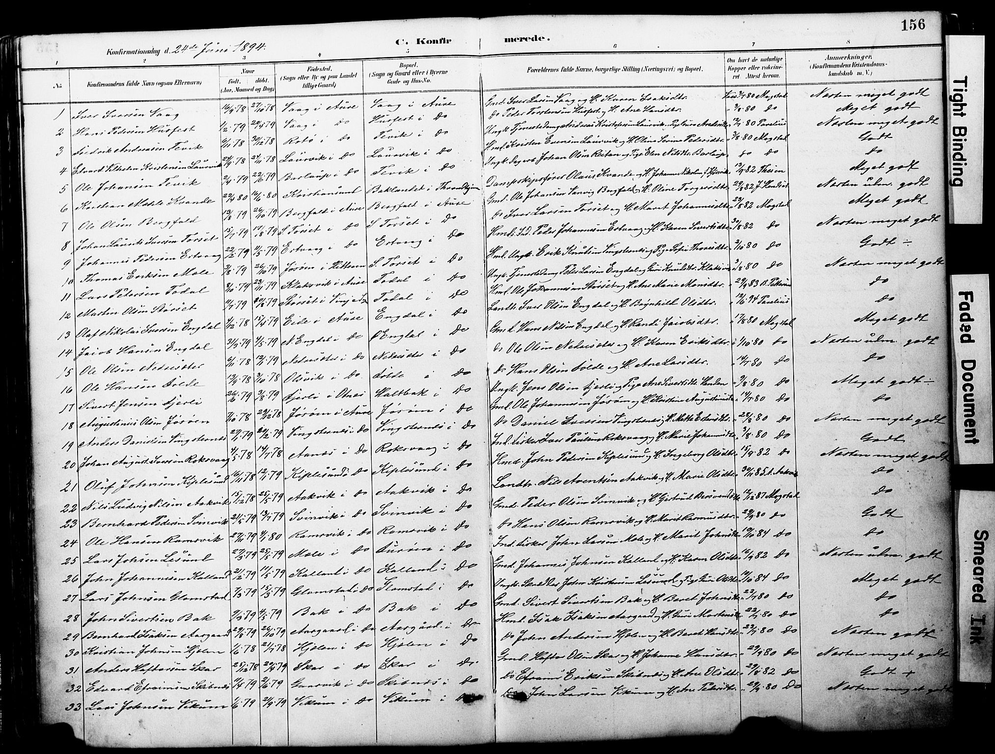 Ministerialprotokoller, klokkerbøker og fødselsregistre - Møre og Romsdal, AV/SAT-A-1454/578/L0907: Parish register (official) no. 578A06, 1887-1904, p. 156