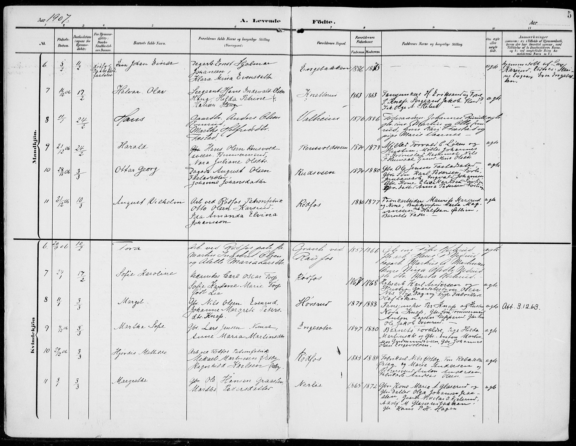 Vestre Toten prestekontor, AV/SAH-PREST-108/H/Ha/Haa/L0014: Parish register (official) no. 14, 1907-1920, p. 5