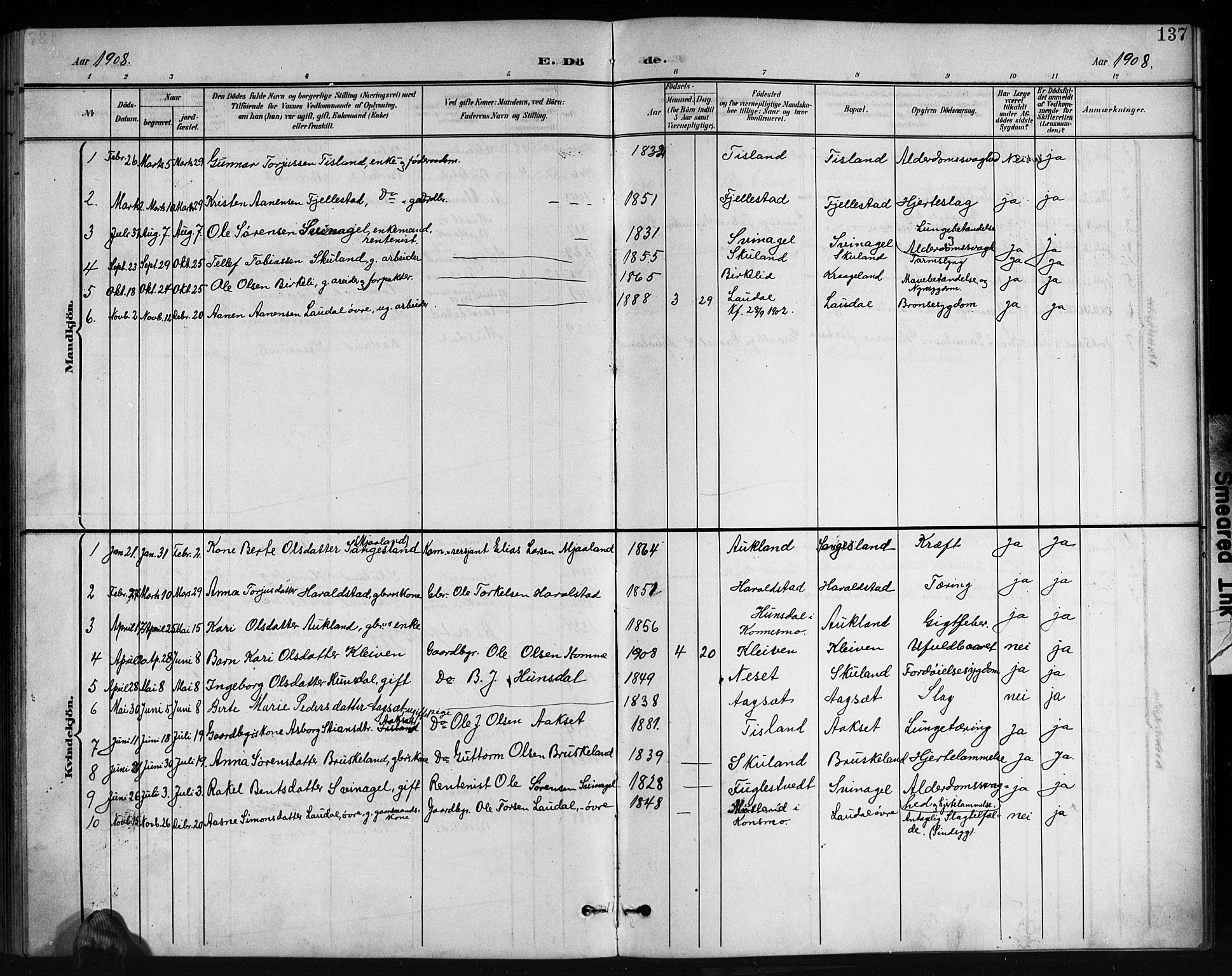 Holum sokneprestkontor, SAK/1111-0022/F/Fb/Fbb/L0004: Parish register (copy) no. B 4, 1899-1920, p. 137