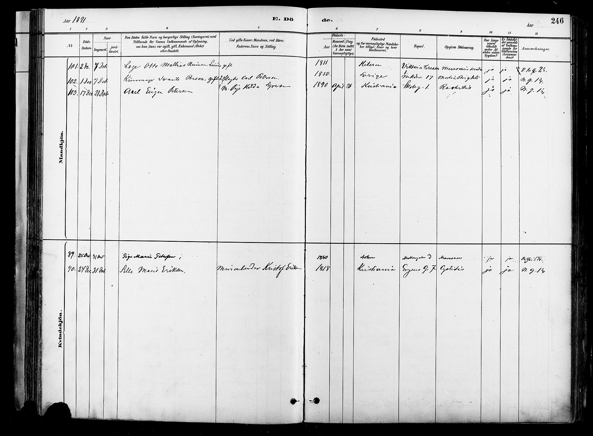 Johannes prestekontor Kirkebøker, AV/SAO-A-10852/F/Fa/L0004: Parish register (official) no. 4, 1883-1907, p. 246