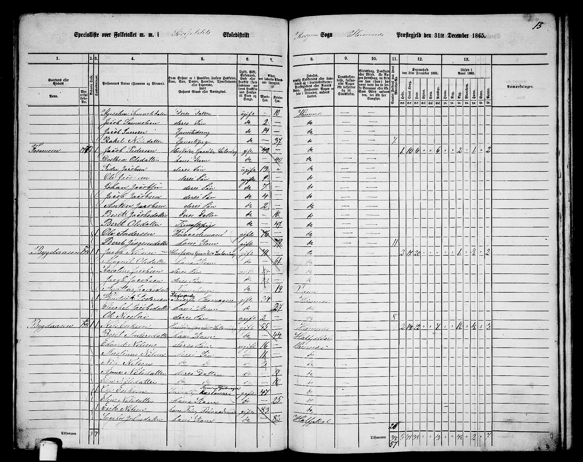 RA, 1865 census for Hemnes, 1865, p. 143