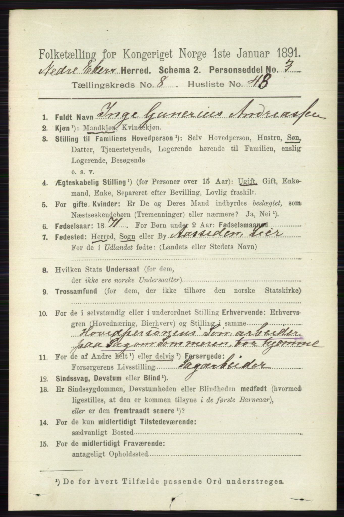 RA, 1891 census for 0625 Nedre Eiker, 1891, p. 4226