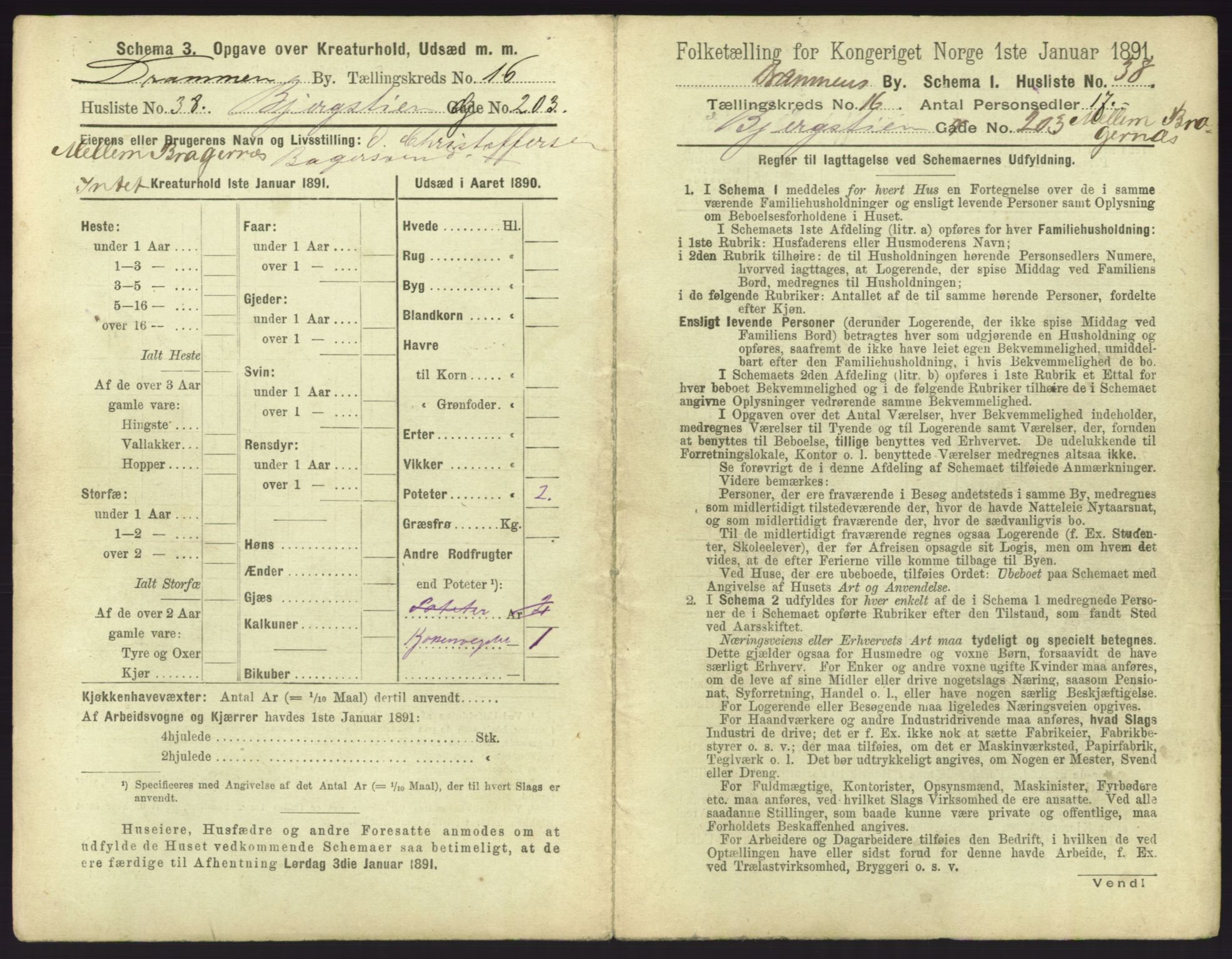 RA, 1891 census for 0602 Drammen, 1891, p. 1391